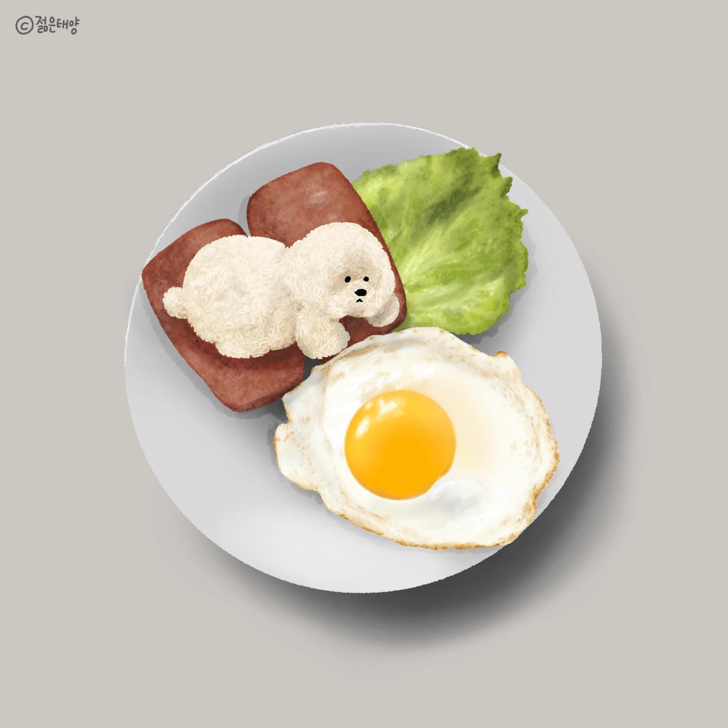 귀여운 강아지모양 밥, 맛있는 계란후라이🐶🍳💘
요리로 예술하시는 분 sibatable 
-
맨날 그리다 덮고 그리다 덮고해서 녹화뜨기 힘들었는디 오랜만에 한번에 이어서 다 그렸다! 아유 잘했다