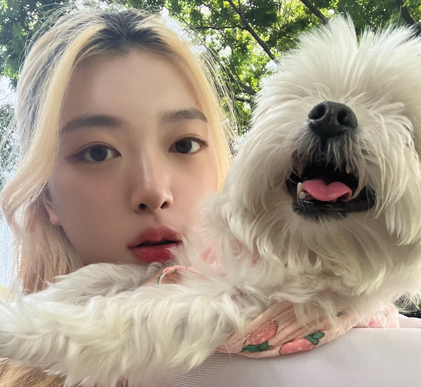 🐾