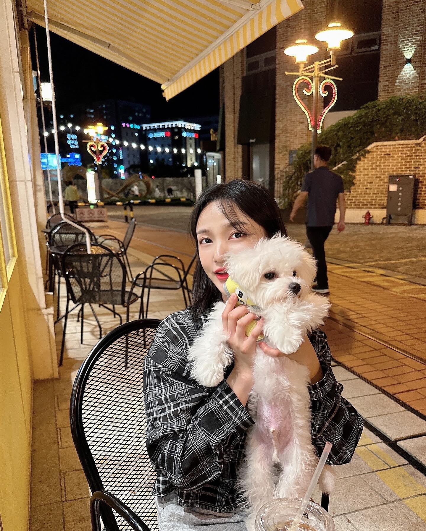 귀여운거 종합선물세트 🎁✨🍂