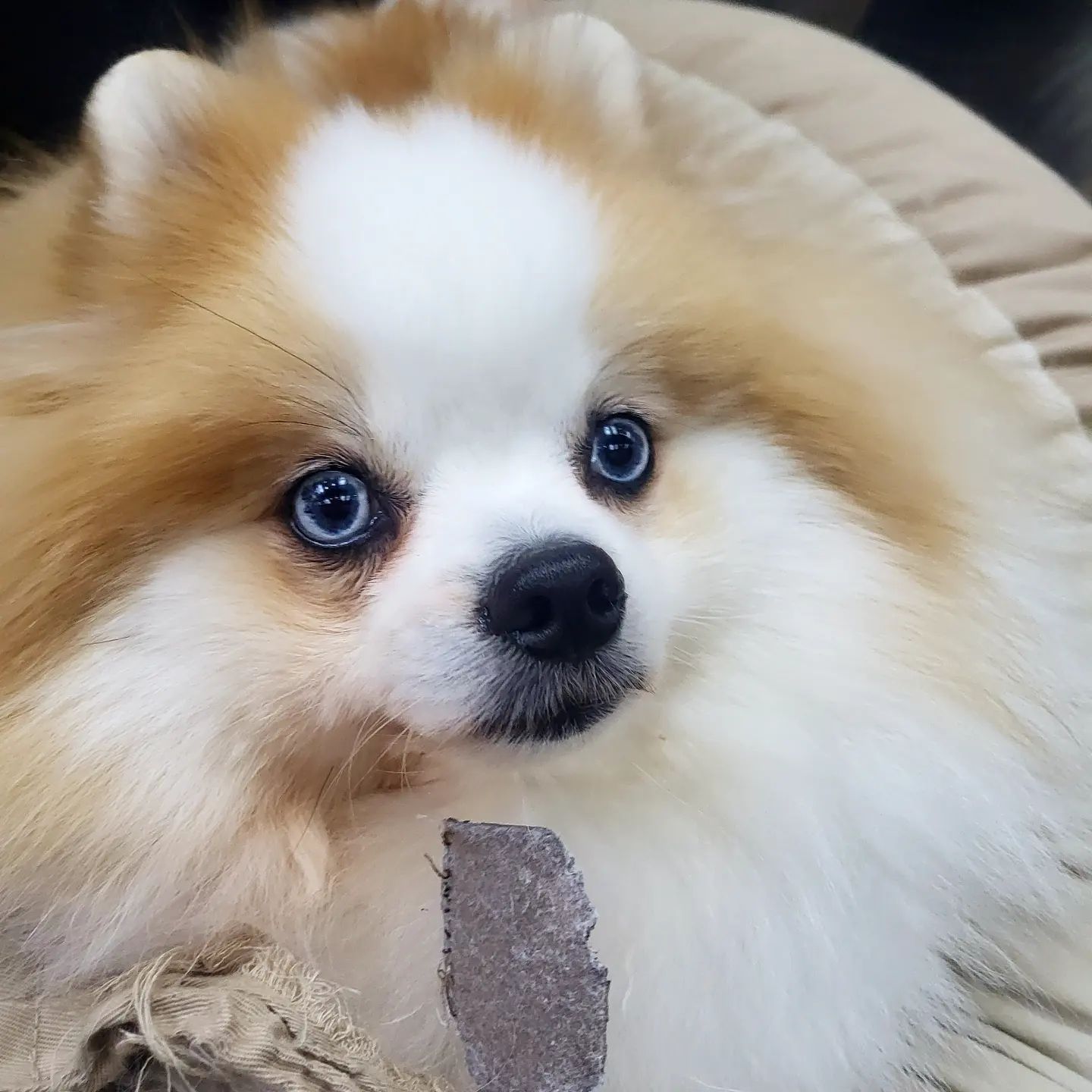 휙~~사진 찍고싶은 맘 없오😛