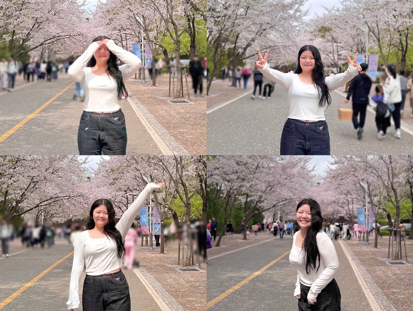 벚꽃네컷🌸