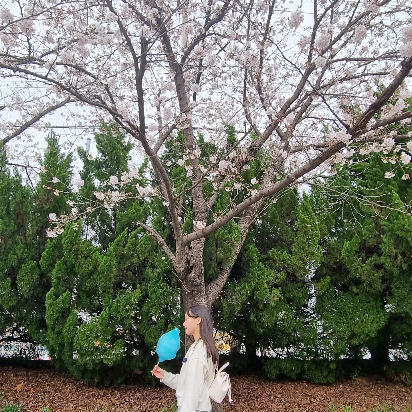 ⠀
요즘 내베프랑 👧🩷 🌸🌸