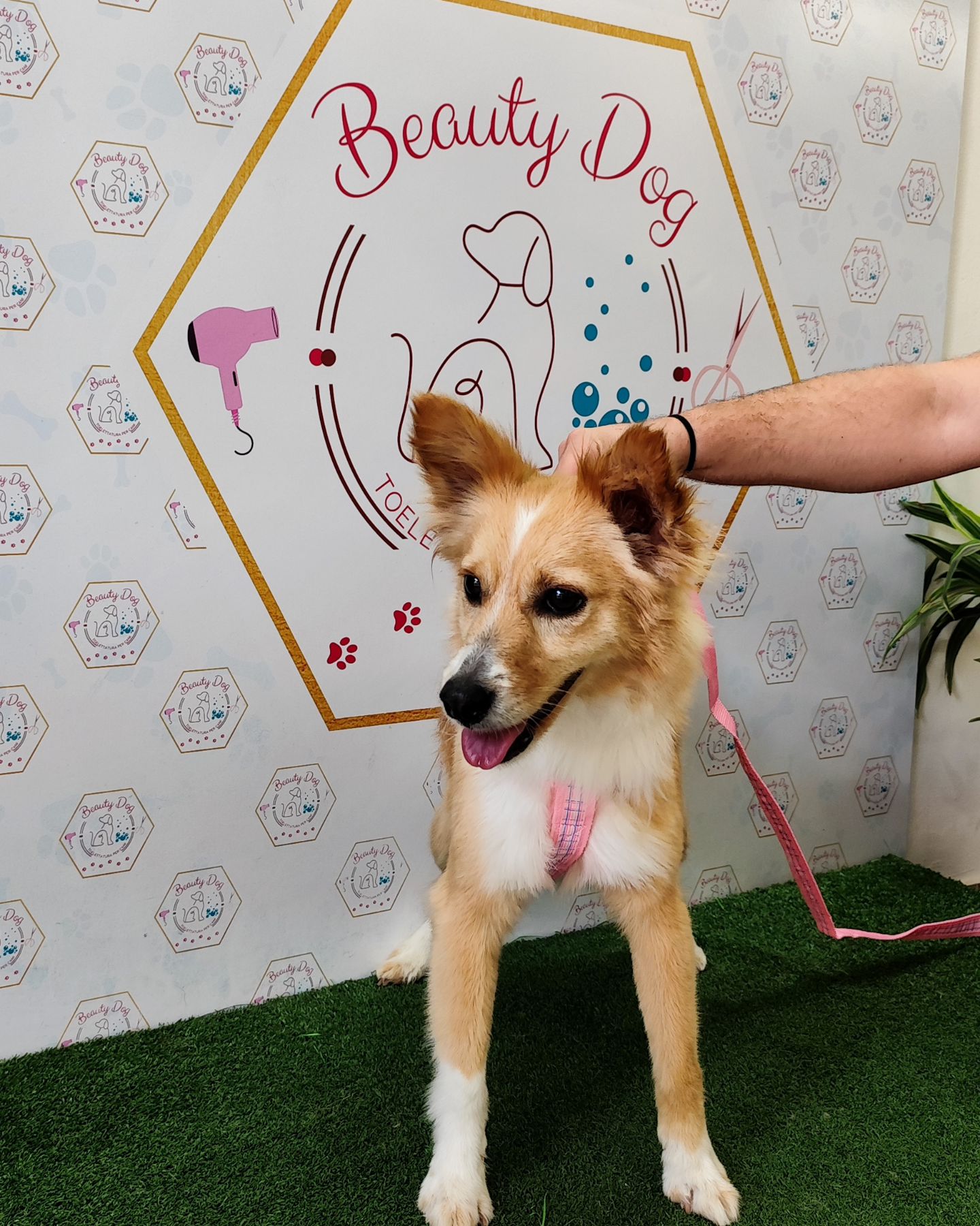 Bellissima la nostra amica Desy💖🐾