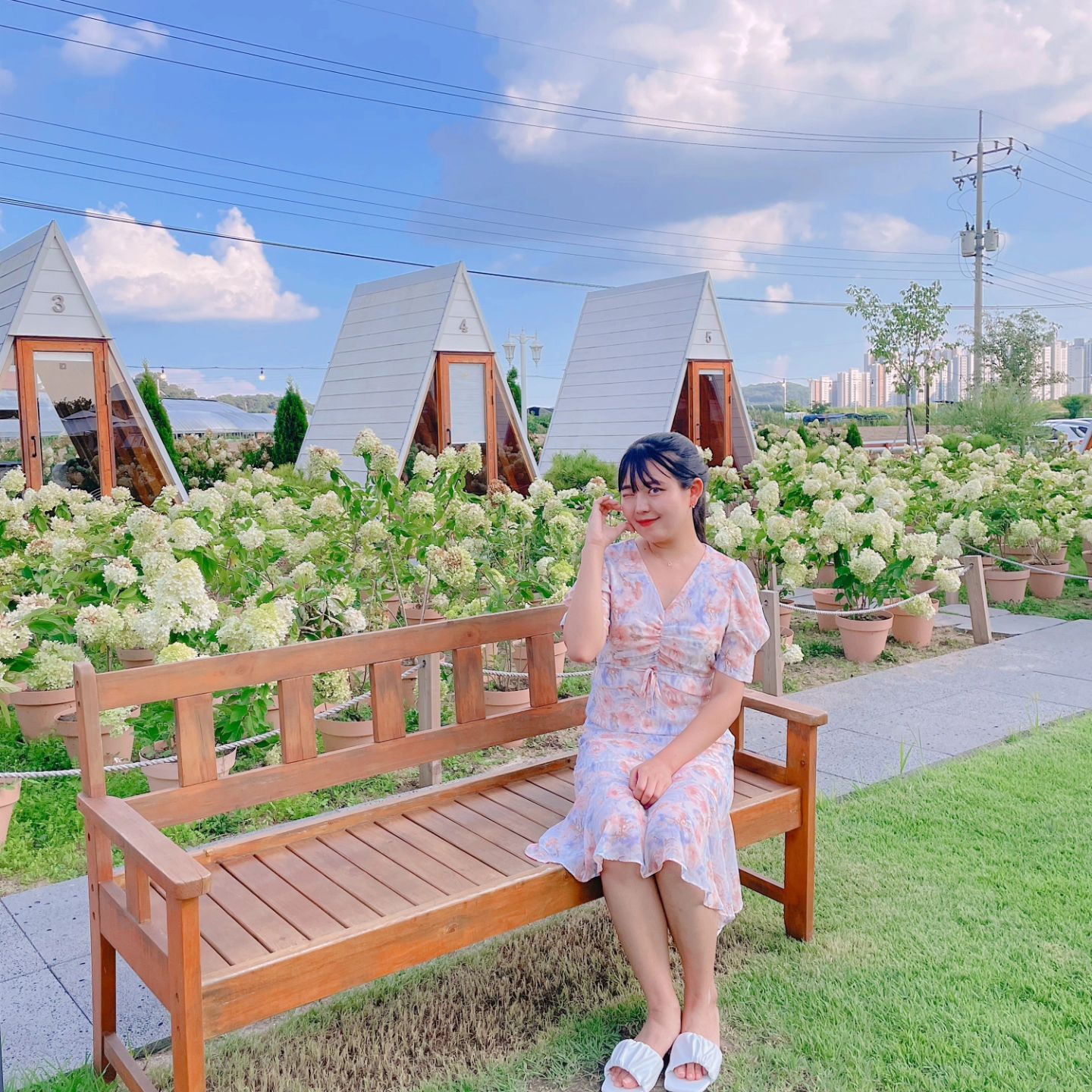 청주 예쁜카페 다녀오기🫠 이번에도 예뻤지만 봄에더 예쁠것같다🪷🌿