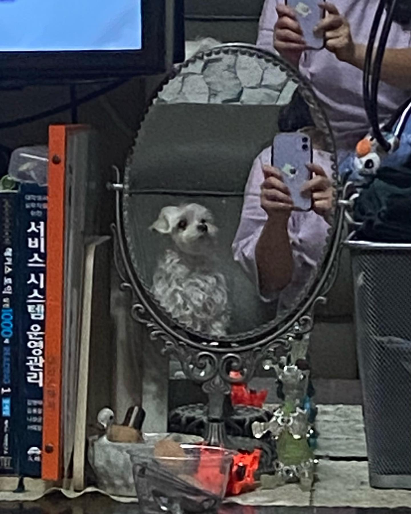 2024.02.18

귀여워

거울 다 부셔 🪞

#말랑콩떡 같은 내 새끼 ❤️