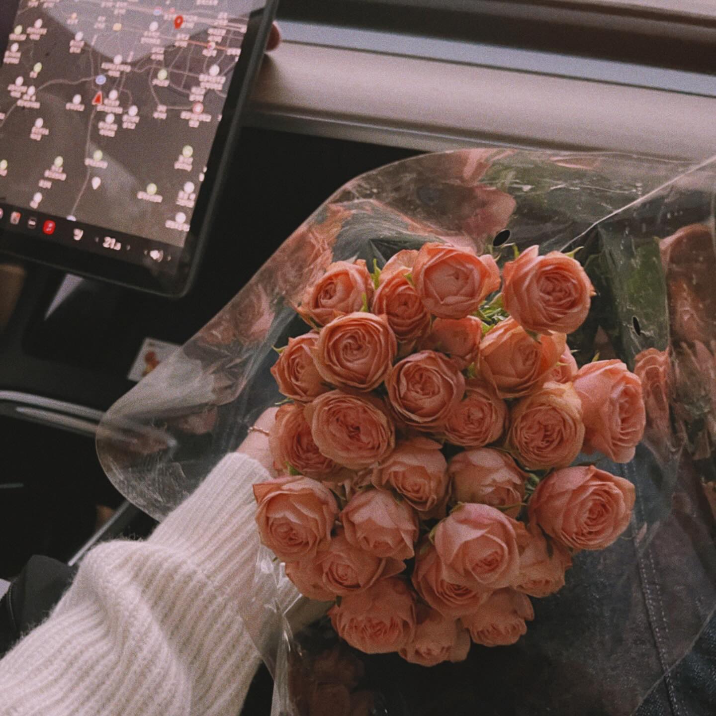 한참 꽃 좋아할 나이 🌷
지금이 가장 예쁠때라고
사진으로 잔뜩 남겨놓았던♥

크리스마스 시즌 때 였어서 집집마다
문 앞에 걸려있는 리스들도 귀엽구
돌아오는 길에 보이는 노을도,
그 노을을 가로질러 가는 비행기들도
예쁘고 좋았던 날의 기록 ෆෆ