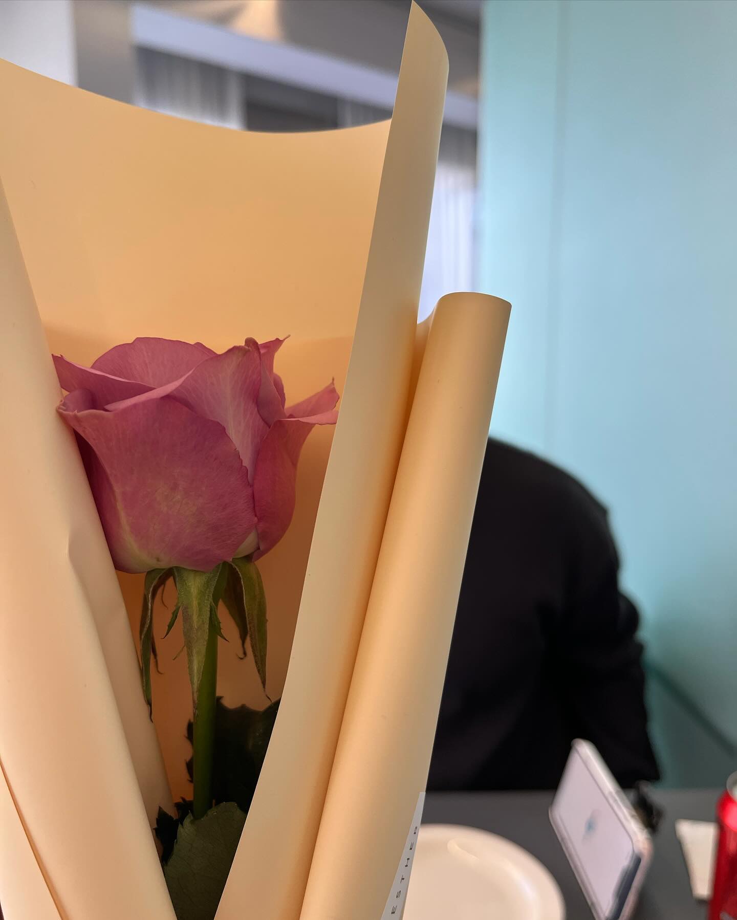 너의 모든 것, 모두 찬란할.