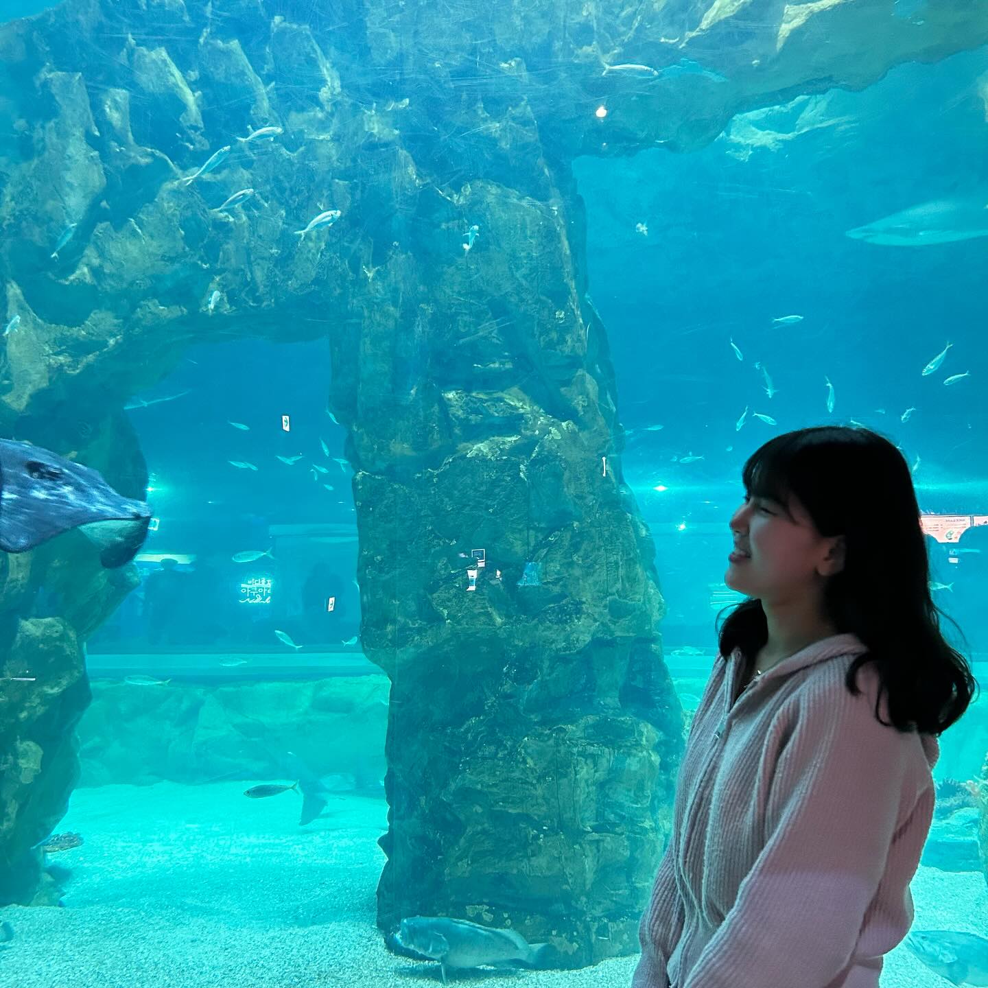 🐳