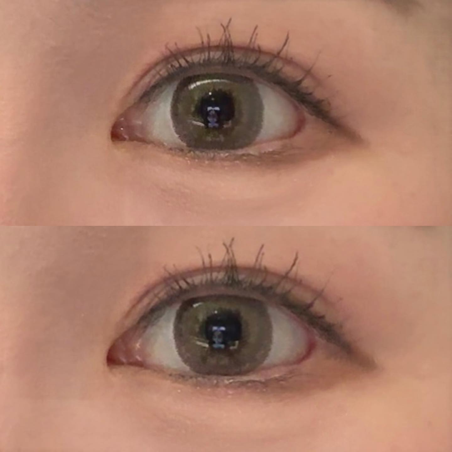 렌즈베리 실루엣 올리브 브라운

직경 13.3mm

카키 브라운으로 발색되는 내 최애 렌즈
화장을 연하게 해도 이 렌즈만 끼면 인상이 또렷해진다. 

밝게 발색되기는 하지만 부담스러운 느낌은 아니라 데일리로도 충분히 사용 가능! 물론 꾸미고 싶은 날에도 끼지만,,

#렌즈추천#렌즈베리#렌즈#내돈내산#실루엣#올리브브라운#실루엣렌즈#데일리렌즈#렌즈후기#실루엣올리브브라윤#유앤아인렌즈#카키렌즈#브라운렌즈