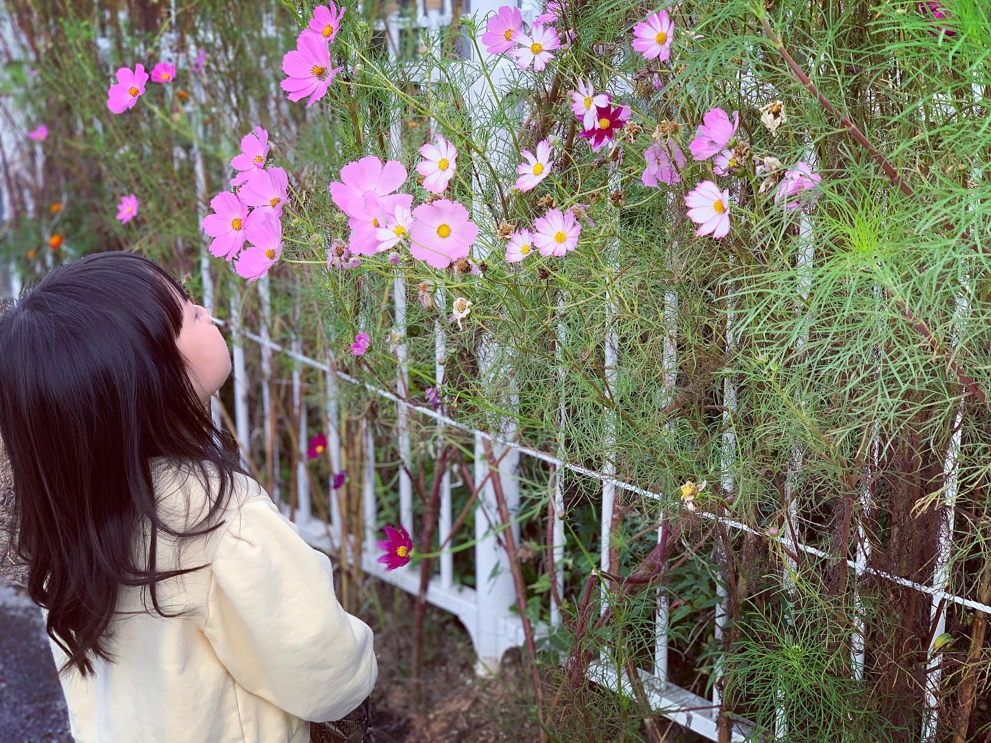2023 가을 
🍂 🌼🌾
닮고 싶은 계절