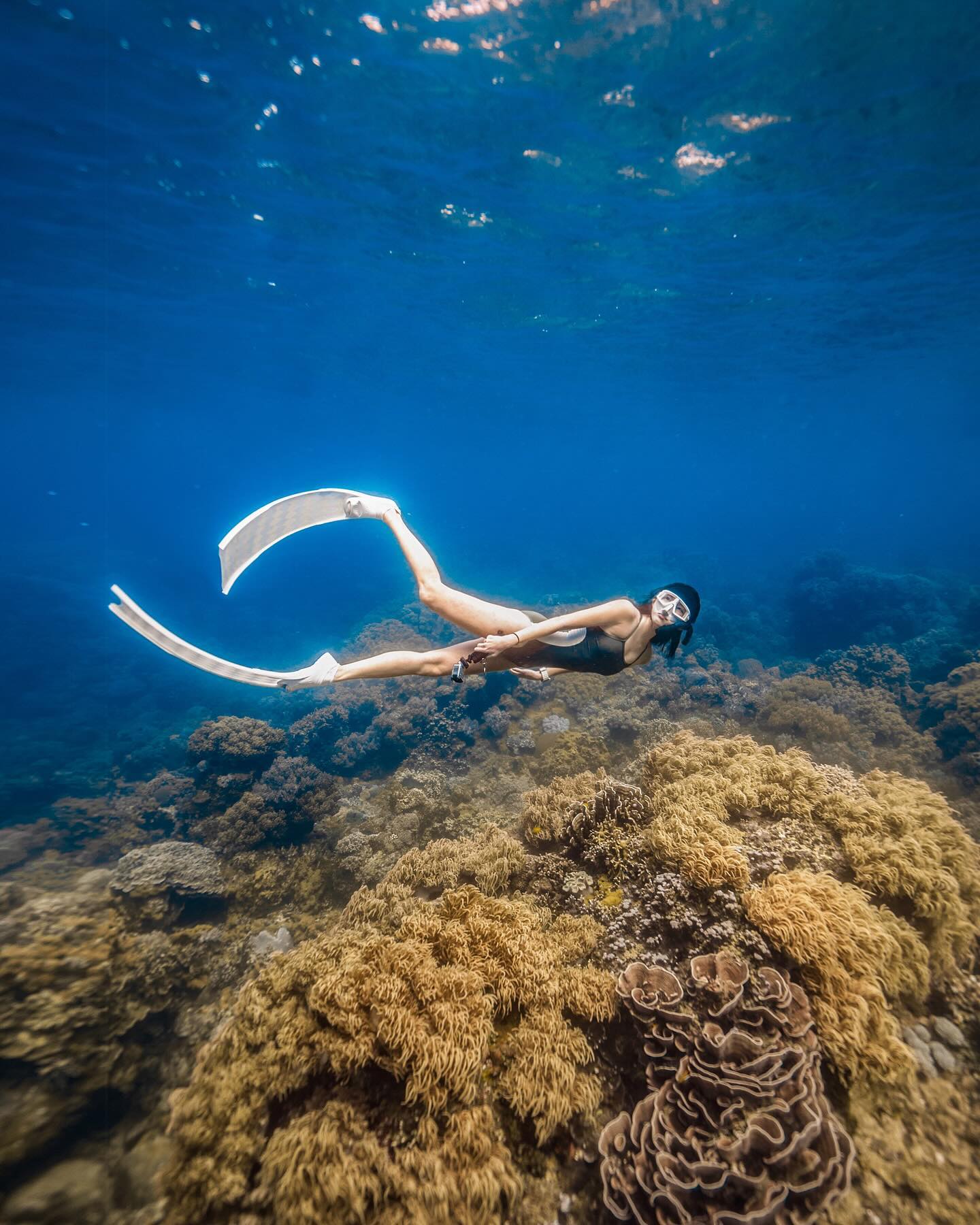 🪸🅰🅿🅾 🅸🆂🅻🅰🅽🅳 🪸

산호가 너무 아름다운 Apo Island 

보홀에서 오션젯으로 2시간
비행기로는 마닐라 경유

로 갈 수 있는 필리핀 두마게티🏝️

두마게티에서 배타고 약 15분 정도 이동하면 만날 수 있는 #야생생물보호구역 #아포섬 

필리핀에서 발견되는 450 종의 산호초 중 대부분은 이곳에서 발견되며 400종 이상의 산호가 있다고 추정된다는 😳😳

다이빙을 하며 해양생물 혹은 지형이 아닌 산호가 너무 예쁘다는 생각이 가장 많이 든 곳 이었다🪸🪸

첫 프리다이빙 투어에서 인생사진 뽐쌤 덕에 너무 많이 건졌다는 ㅎㅎ

🩱 swimballl (스윔볼 심플라인 다크그린)
📸 bbomms freediver_bom 
📍 dubaha_inst._paul 

#필리핀여행 #여행에미치다 #두마게티 #apoisland #freediving #프리다이빙 #수중사진 #수영복 #수영복추천 #스윔볼 #프리다이빙투어 #프리다이빙교육 #프리다이빙강사 #펀다이빙 #selfie #인생사진 #스노클링 #호핑투어 #노논아 #수영하는여자 #다이빙하는여자 #운동하는여자