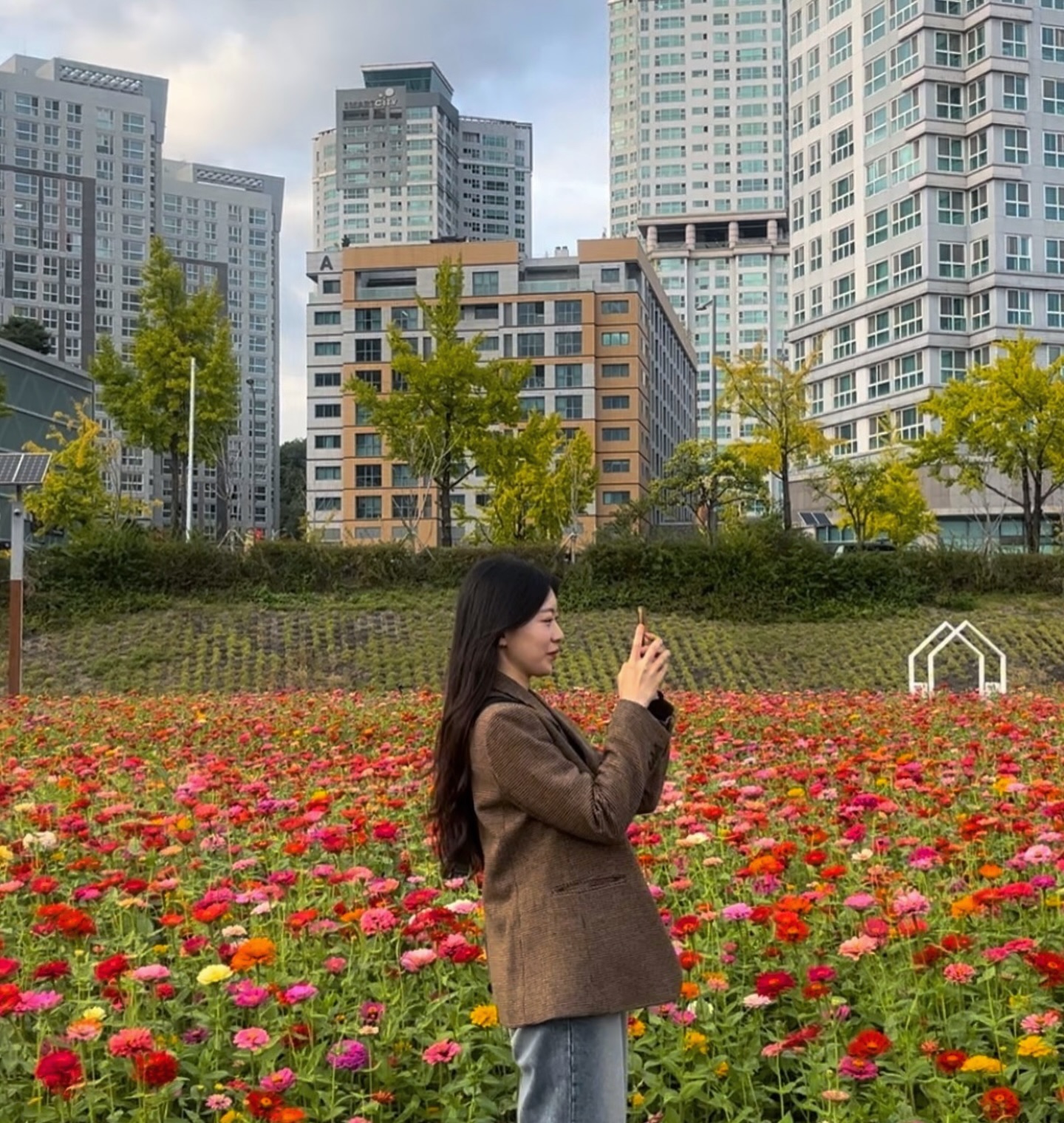 스쳐가는 가을에 꽃 한가득 구경하기