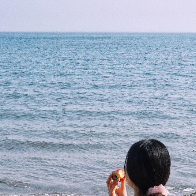 구슬 (珠) on Instagram: "어릴때 인천에 살면서 해변에 놀러가면
폐수에 오염된 바다를 너무 많이봐서 
서해는 별로 좋아하지 않았는데
승봉도의 바다는 전부 맑고 깨끗하더라구요🩵

당장 바닷물에 뛰어들고 싶었는데!
샤워장이 운영중이지 않았던 관계로
수영은 못했지만 일광욕이라도 즐겨봤어요🏖️

여행에도 백패킹에도 필수템인
빛나 온리뮤를 챙겨왔어요!🩵
물놀이 후에도 관리는 필수니까요😉

온리뮤 세정제부터 에센스까지 
성분들 너무 좋고 아주 잘 맞아서
저도 앞으로도 계속 구매해서 
사용할 아이템들이에요!

제가 온리뮤즈로 활동하는 기간은 7월까지!
할인코드 guseul 
관심있으신 분들은 꼭꼭 할인받아서 구매하세요🩵

🌊 @jkaura.official 🌊

빛나 공식 서포터즈로 활동하며 제품을 제공받았습니다
⠀ 
⠀ 
#빛나 #온리뮤 #온리뮤즈 #빛나는라이프스타일의완성 #여성청결제 #남성청결제 #라이프스타일지원금 #백패킹 #승봉도 #바다수영 #휴가준비"