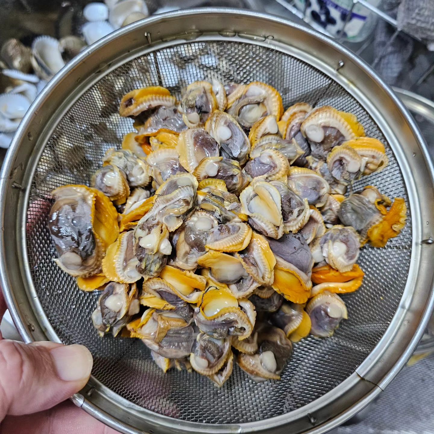 홍맛 해루질 같다가 피조개만 가득. 그냥 잘 수 없죠.

#해루질 #독산해루질 #피조개해루질 #홍맛해루질