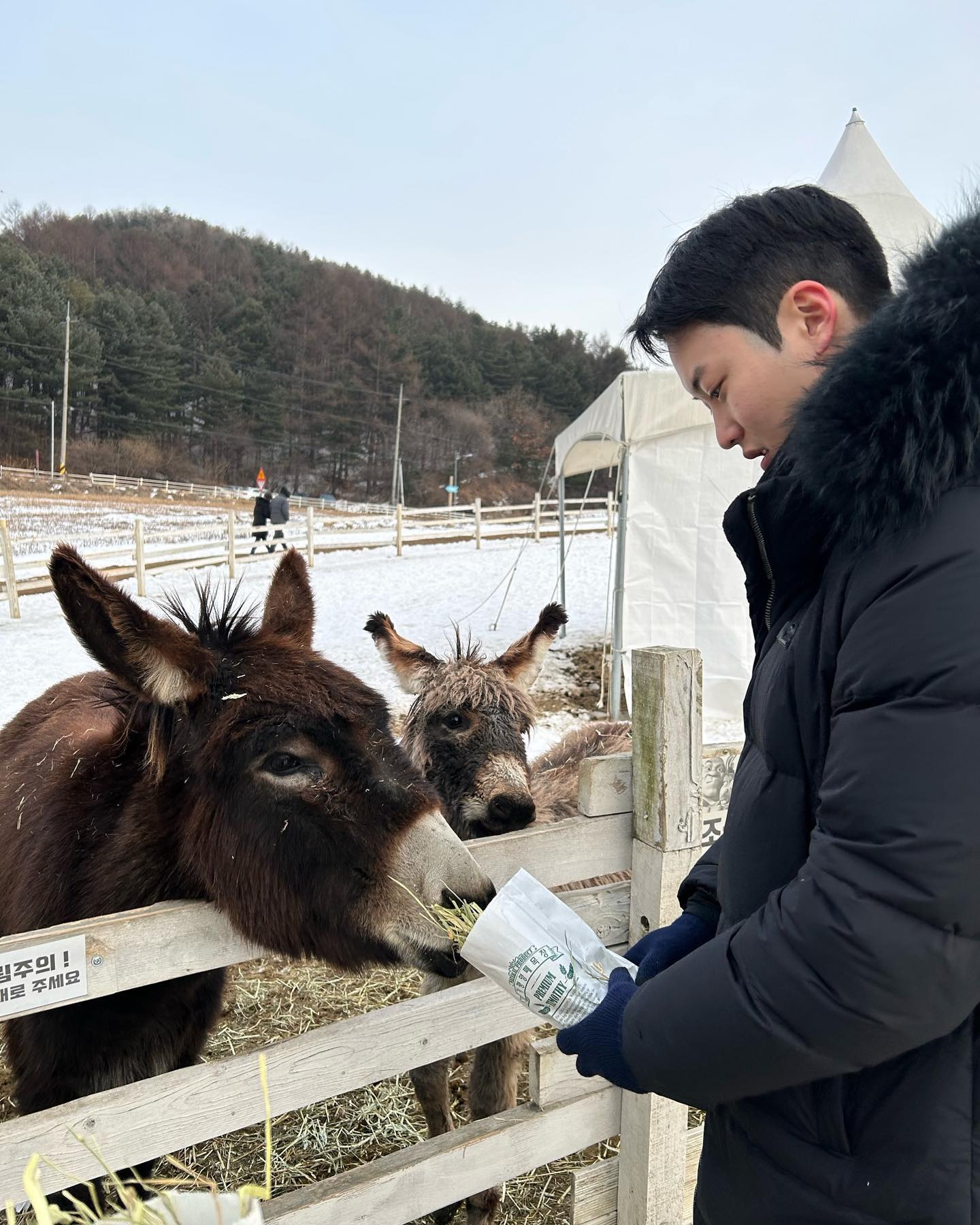 #가평 #여행 #양떼목장 #양