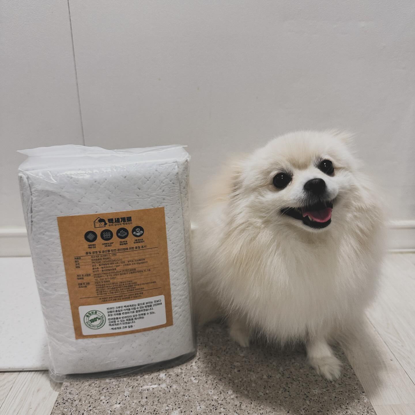 #협찬 #대견패드 100_doglife
.
2마리의 강아지를 키우는 말자 문어 엄마입니다!
애견 배변패드를 사용 하다보면 탈취력과 흡수력을 꼭 중요하게 보고 고르게 되는데요!
최근에 백세개로 대견패드를 사용하면서 집에 강아지 소변냄새가 적어진게 느껴졌어요.
말자&문어는 하루에 1장씩 사용하고 있습니다 :D
.
방수포 코팅처리를 한 배변패드라서 모서리와 뒷면에 소변 새는 것이 방지되어있고
매쉬 탑시트라 빠른 흡수력을 자랑하는 패드에요!
.
인공 합성향이나 형광증백제가 무첨가 되어있어서,
강아지들에게 안전하게 사용 가능합니다!
현재 100원 딜 한정수량 이벤트도 하고 있다고 하니까 참고해주세요 :D
.
#백세개로 #애견패드 #대형애견패드 #강아지패드 #배변패드 #강아지배변패드 #배변패드추천 #강아지배변훈련