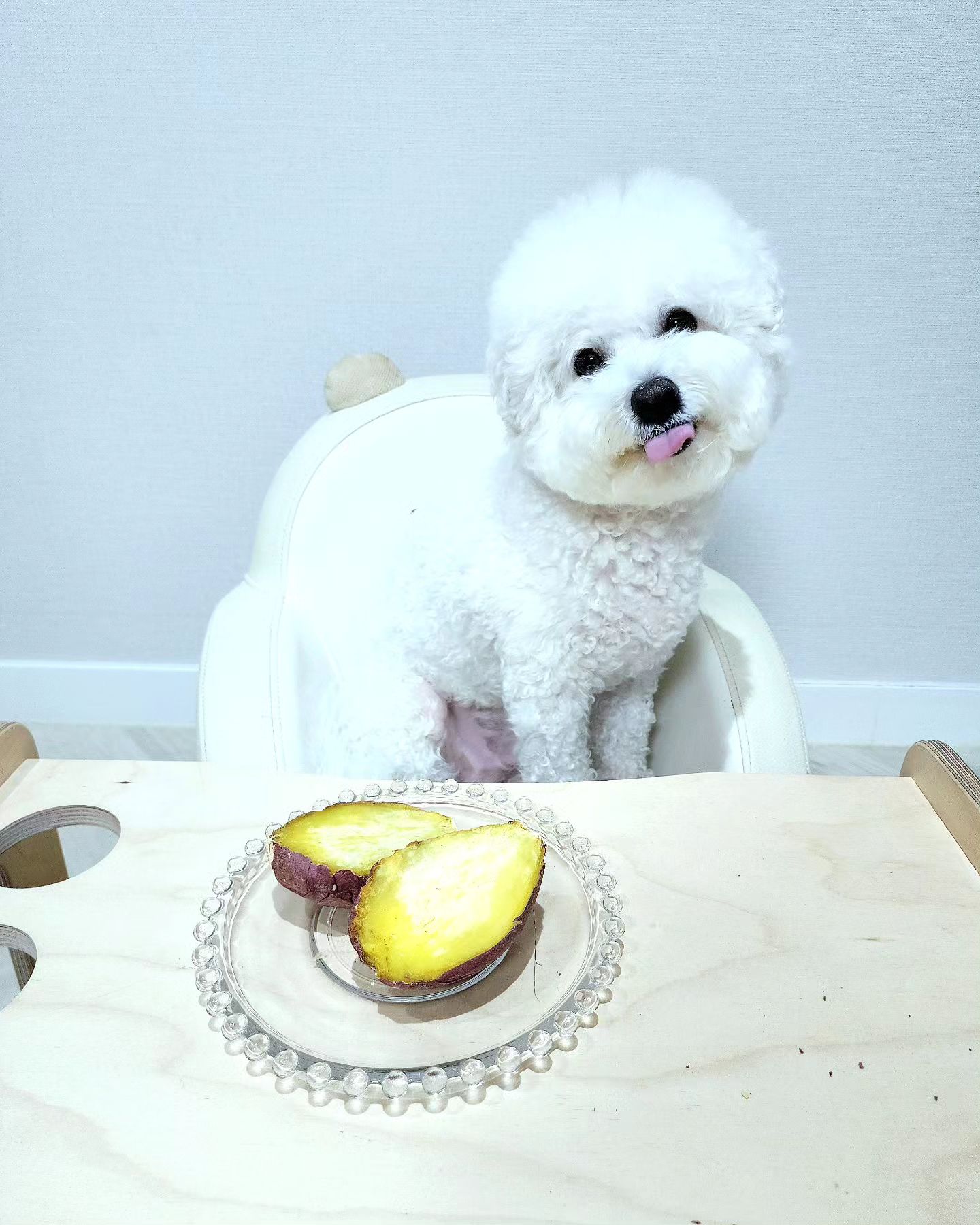 콘텐츠