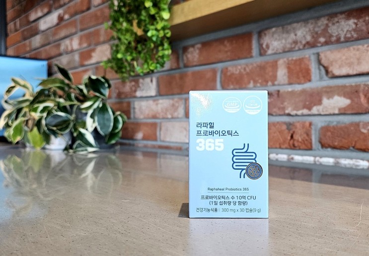 면역력증진에 좋은 유산균 라파힐 프로바이오틱스365
