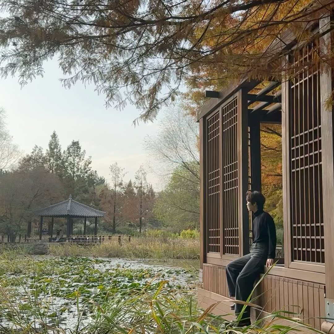 짧았던 가을#🍁
전주에서 즐기기 
#🍂 
내사진 모음