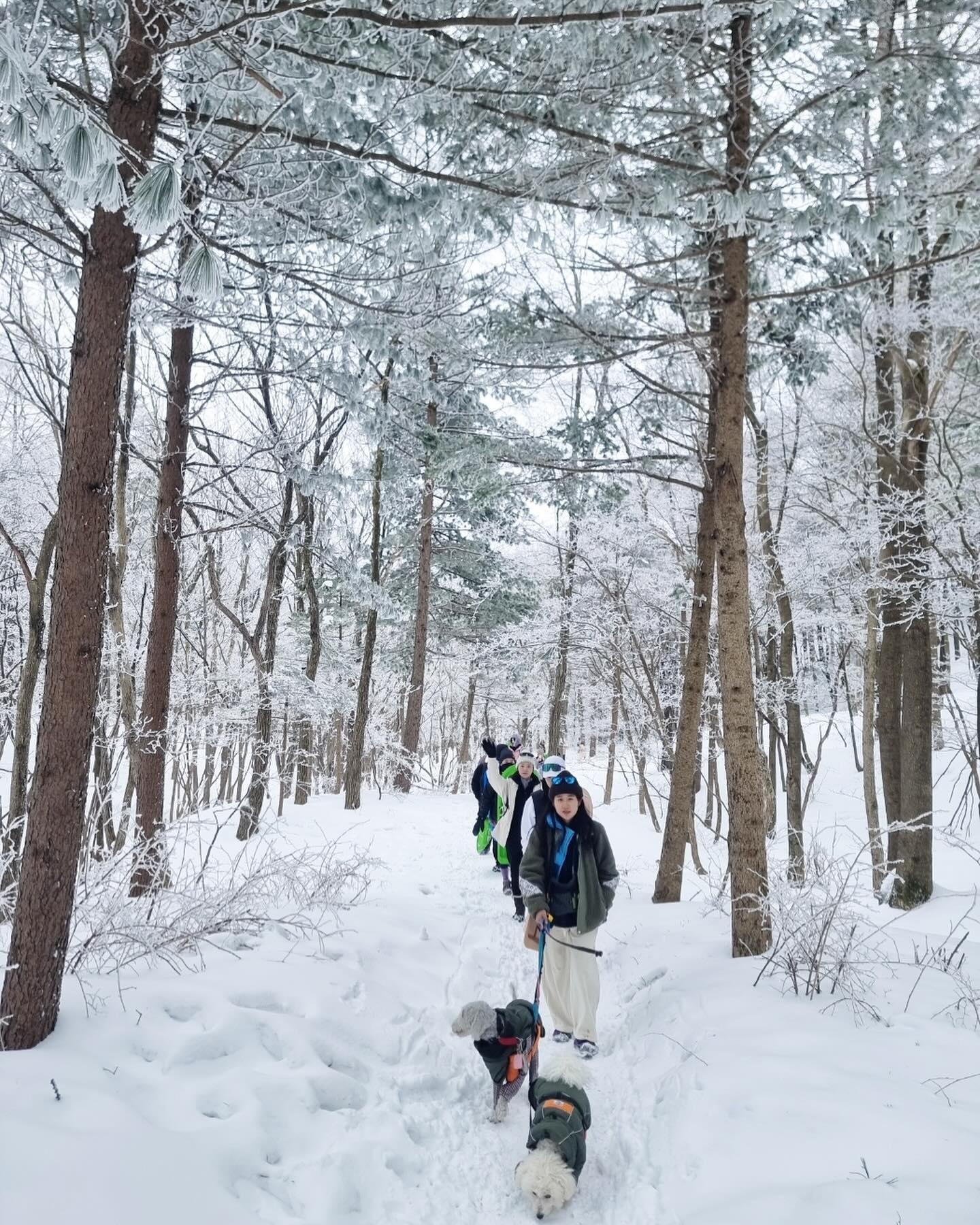 #julymountainclub 

줄라이유니버스!! 단체사진❤️
등껍질썰매부대의 선자령방문!!!!!!!❄️

사실 주말에 컨디션이 좋지않아…정상까지 갈생각없고
그냥 울 개돌라잇이랑 썰매타고 깔짝거리려고 했는데
역시 같이 가다보면 씬나게 다 가버리는….👍
#같이의가치 #그치만독감을획득
.
.
#oudoors #adventuretime #explorer #travel #mountains #trip #trekking #hiking #summit #wild #instagram #yolo #여행 #트레킹 #하이킹 #청춘 #힐링 #등산 #산스타그램 #등산스타그램 #산스타그램🌳🌲🌿 #아웃도어 #선자령 #백두대간선자령 #반려견동반산행 #애견동반산행