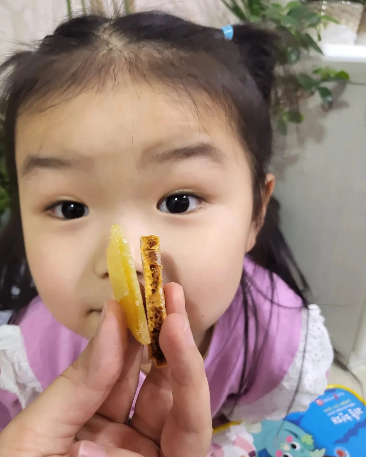 #달콤사이언스  yuyum31 

각설탕을 구하지 못해 메인활동은 못했지만
재밌게 즐겨본 설탕과자만들기🍪

설탕에 소다를 넣을면 뽕뽕 구멍이뚫리고
설탕만있으면 딱딱하지만 더 맛있는 설탕과자

#유아과학 #홈스쿨과학 #엄마표과학 #달콤과학 #과학홈스쿨링