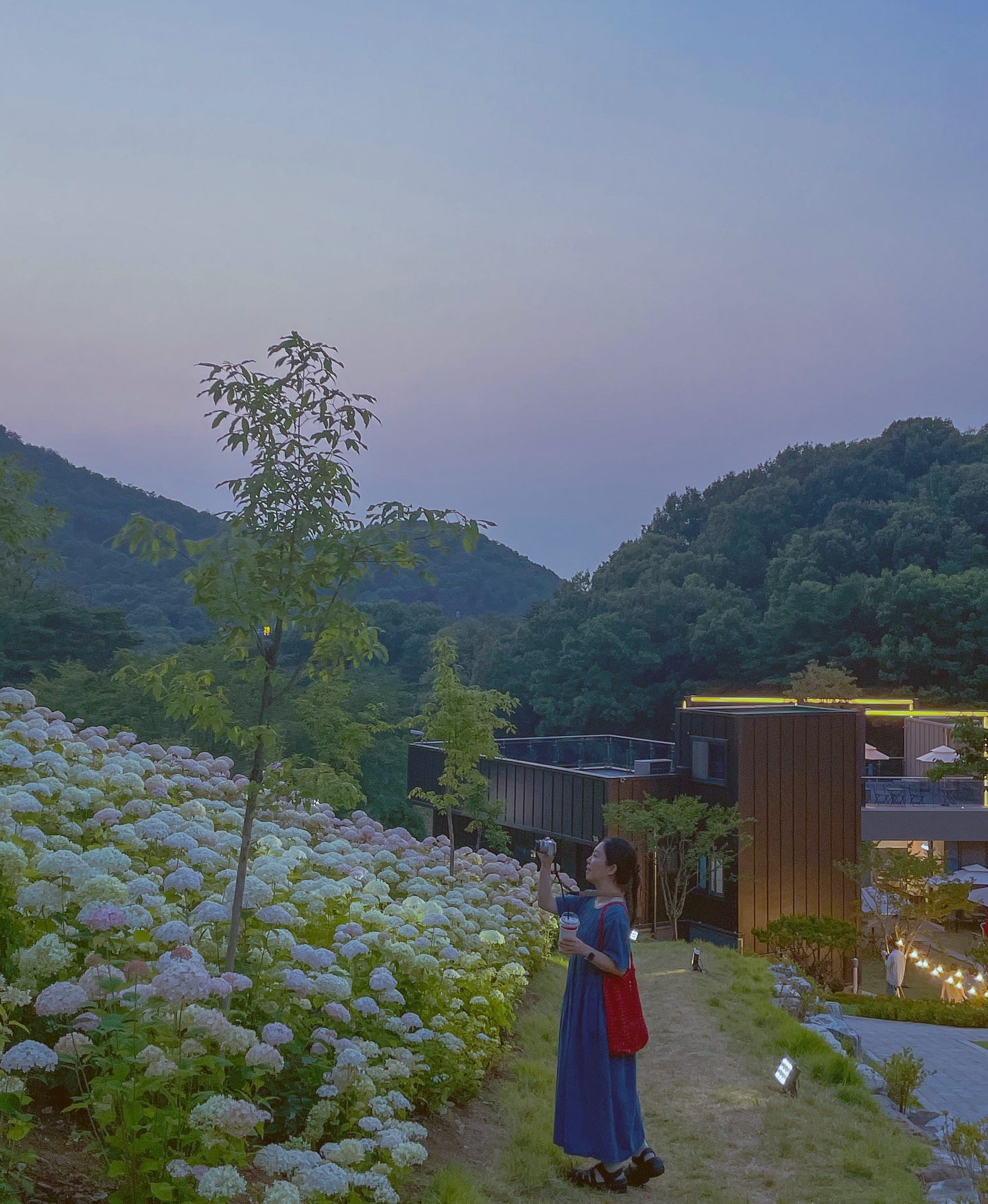 🔵

우리 카페에도 꽃이 정말 많은데
다른곳 꽃을 보겠다며- ෆ 

📍화정동 수목카페
📷 iphon 12