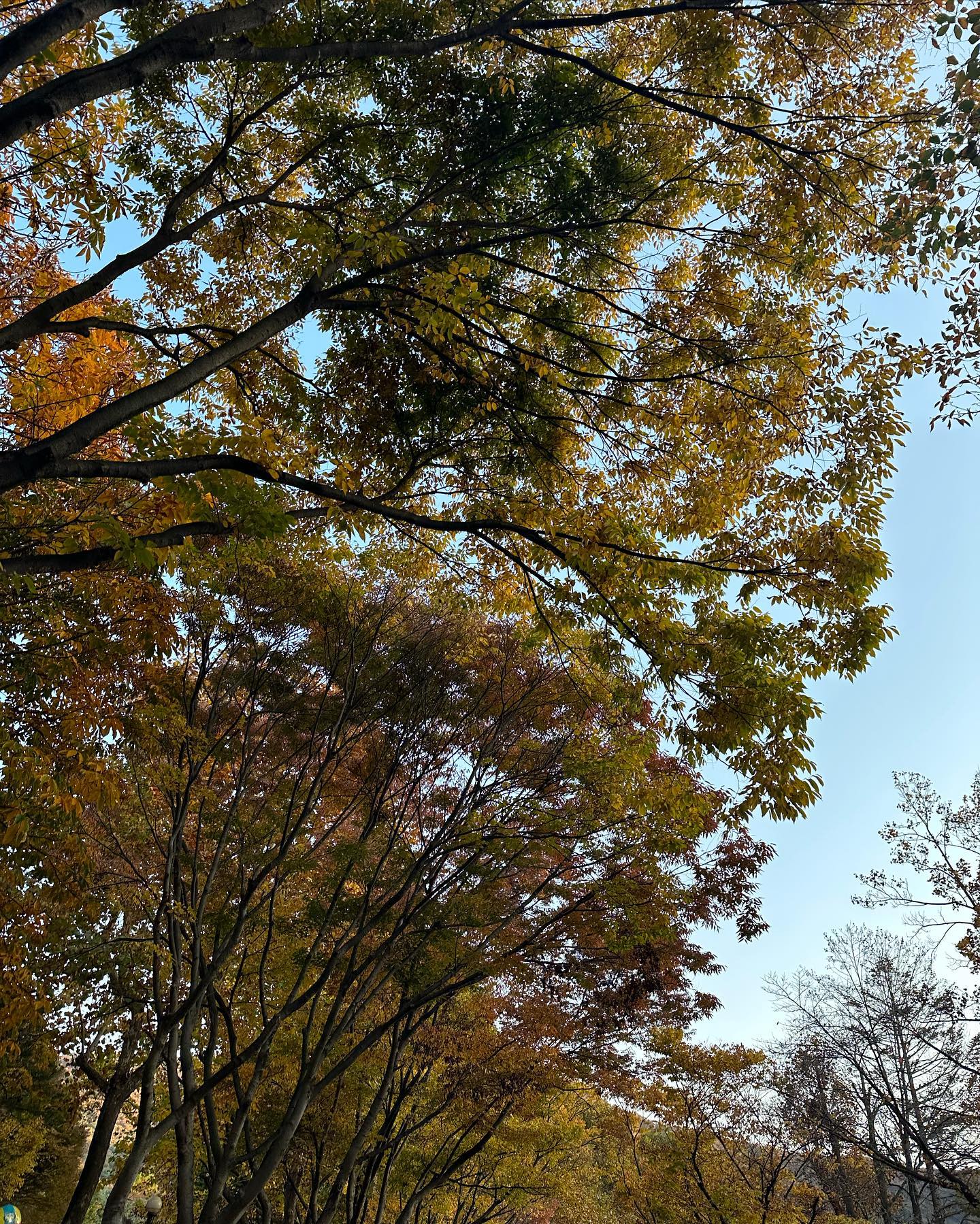 서울대공원🧡