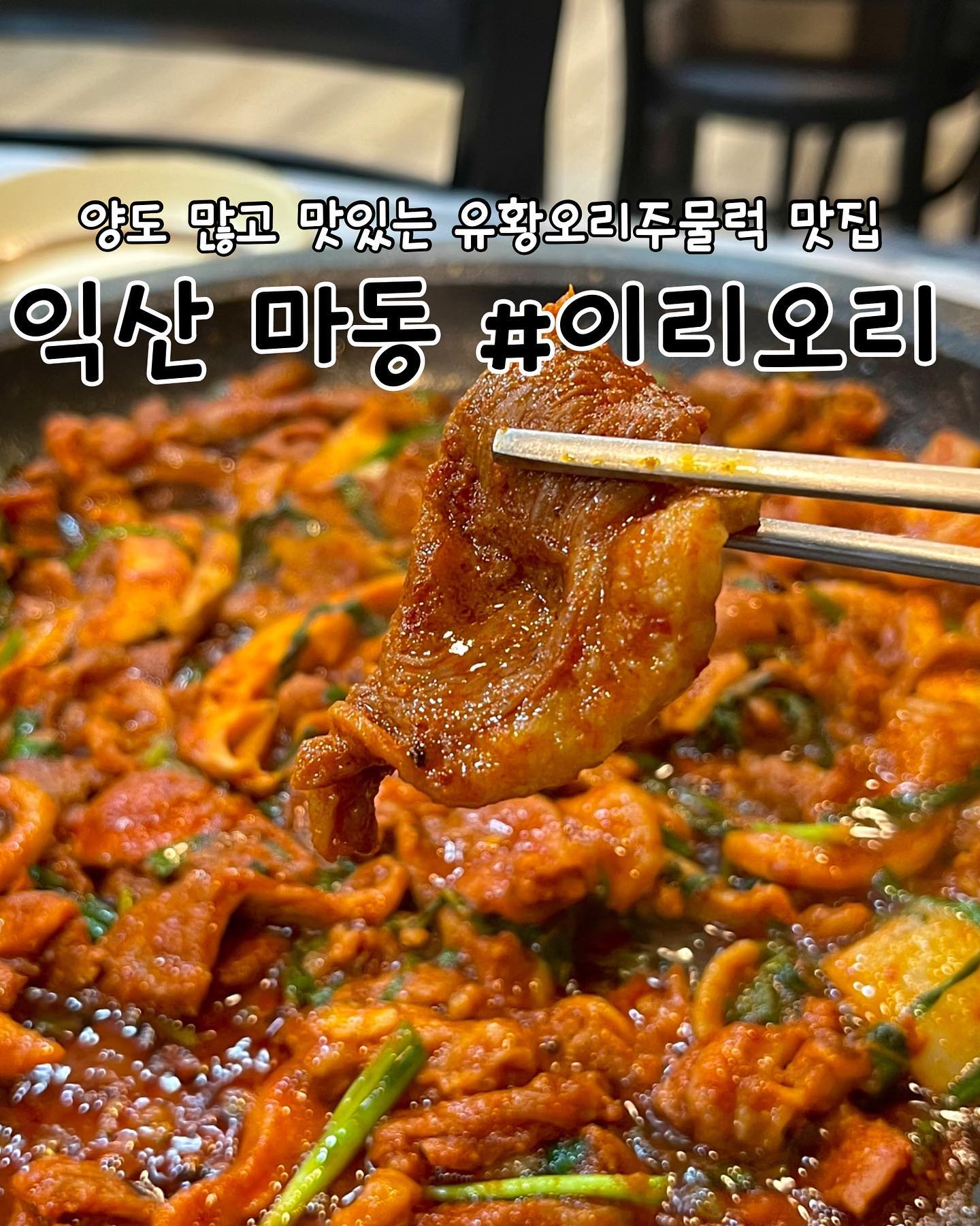 #협찬 
익산 | #이리오리 

📖주문한 메뉴
오리주물럭(300g) ➡️ 13,000원
볶음밥 ➡️ 3,000원

✔️이리오리 리뷰
✅익산 마동에 있는 오리음식 전문점 이리오리에 방문했습니다. 오리주물럭부터 훈제구이, 로스, 탕, 백숙, 닭도리탕 등 메뉴가 많고 백숙 및 닭도리탕은 예약 필수입니다. 

✅홀이 굉장히 넓고 위생상태가 너무 깔끔했어요. 안쪽으로 들어가면 룸이 있어서 단체 회식이나 모임장소로도 좋을 것 같습니다. 

✅진미채, 잡채, 김치, 양파절임, 파김치, 소세지 등 밑반찬 종류가 많습니다. 함께나오는 청국장 맛이 특히 좋았습니다! 오리주물럭을 주문하면서 국물요리를 하나 더 시켜야하나? 생각했지만 청국장 하나로 충분할 정도로 맛이 진하고 구수했어요ㅎㅎ

✅이리오리는 한방약재와 채소육수를 사용한 양념장과 유황오리를 사용한다고 해요. 거부감 없는 향으로 일반오리고기와 차별성이 있습니다. 고기 육질이 굉장히 쫄깃하면서 고소한 맛이 났어요! 양파, 상추와 함께 먹으면 맛이 두배입니다ㅎㅎ

✅볶음밥 양이 굉~장히 많습니다^^ 사장님께서 오리주물럭  위에 밥, 상추, 김, 참기름을 둘러 맛있게 볶아주십니다! 소스가 맛있어서 볶음밥을 꼭 먹어보세요! 오리고기 좀 남겨서 볶음밥할 때 같이 먹으면 더 맛있답니다😃

🕖영업시간
월~토 11:00~21:00
매주 일요일 정기휴무

📍위치
전북 익산시 주현로8길 45

📞연락처
0507-1400-2314
.
.
.
.
.
#익산맛집 #익산백숙 #익산술집 #익산백숙맛집 #익산마동맛집 #익산마동백숙 #익산오리주물럭 #오리주물럭 #전북맛집 #전북백숙 #전북오리주물럭 #마동맛집 #마동백숙 #마동술집 #익산데이트