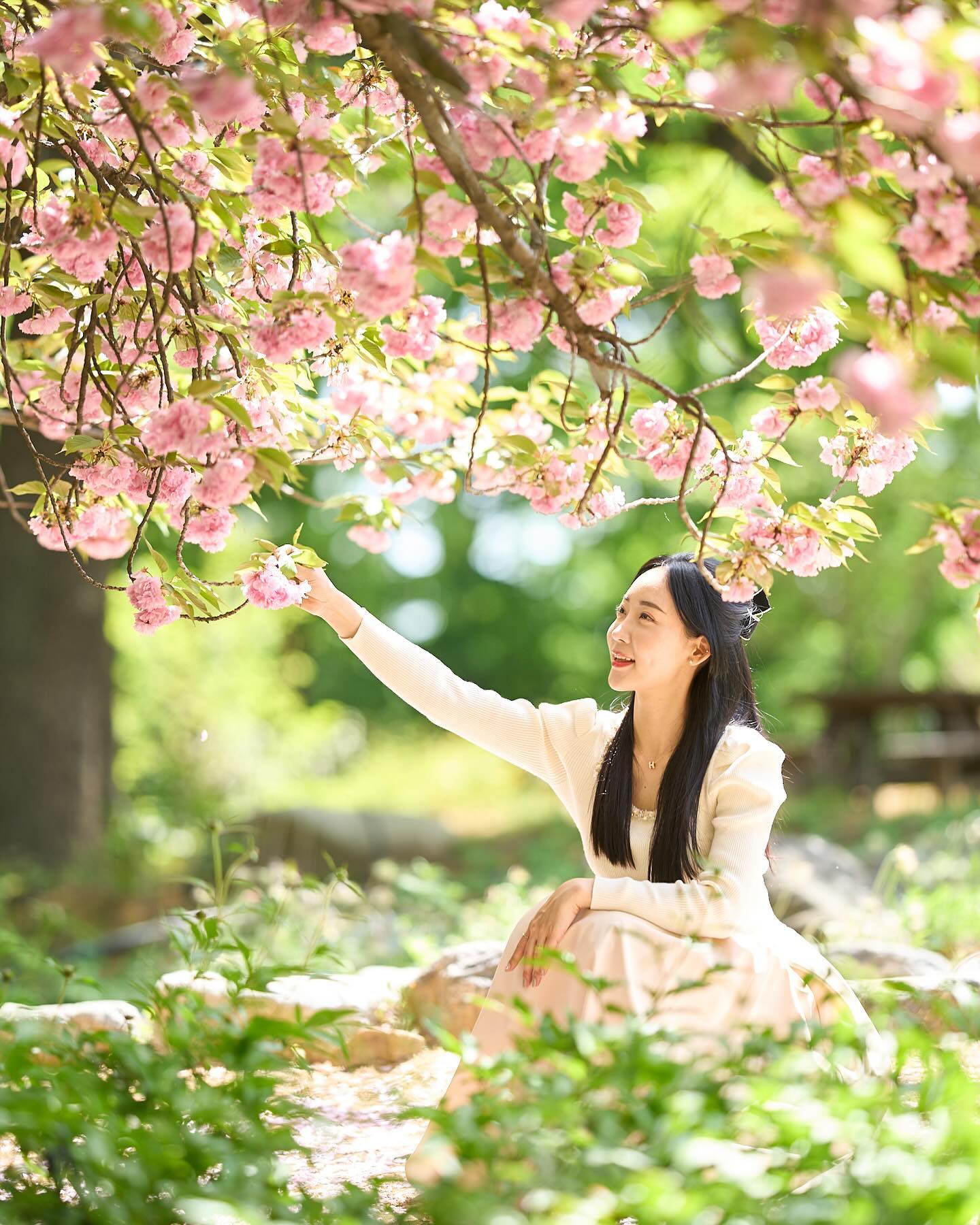 오랜만에 즐거운 모델놀이 3️⃣
예쁜 겹벚꽃🌸🌸🌸
20살때부터 예쁘게 찍어주신 작가님 감사합니다👏🏻
.
#튤립#출사#사진모델#꽃밭#대구사진찍기좋은곳#겹벚꽃#꽃놀이#꽃사진#모델놀이