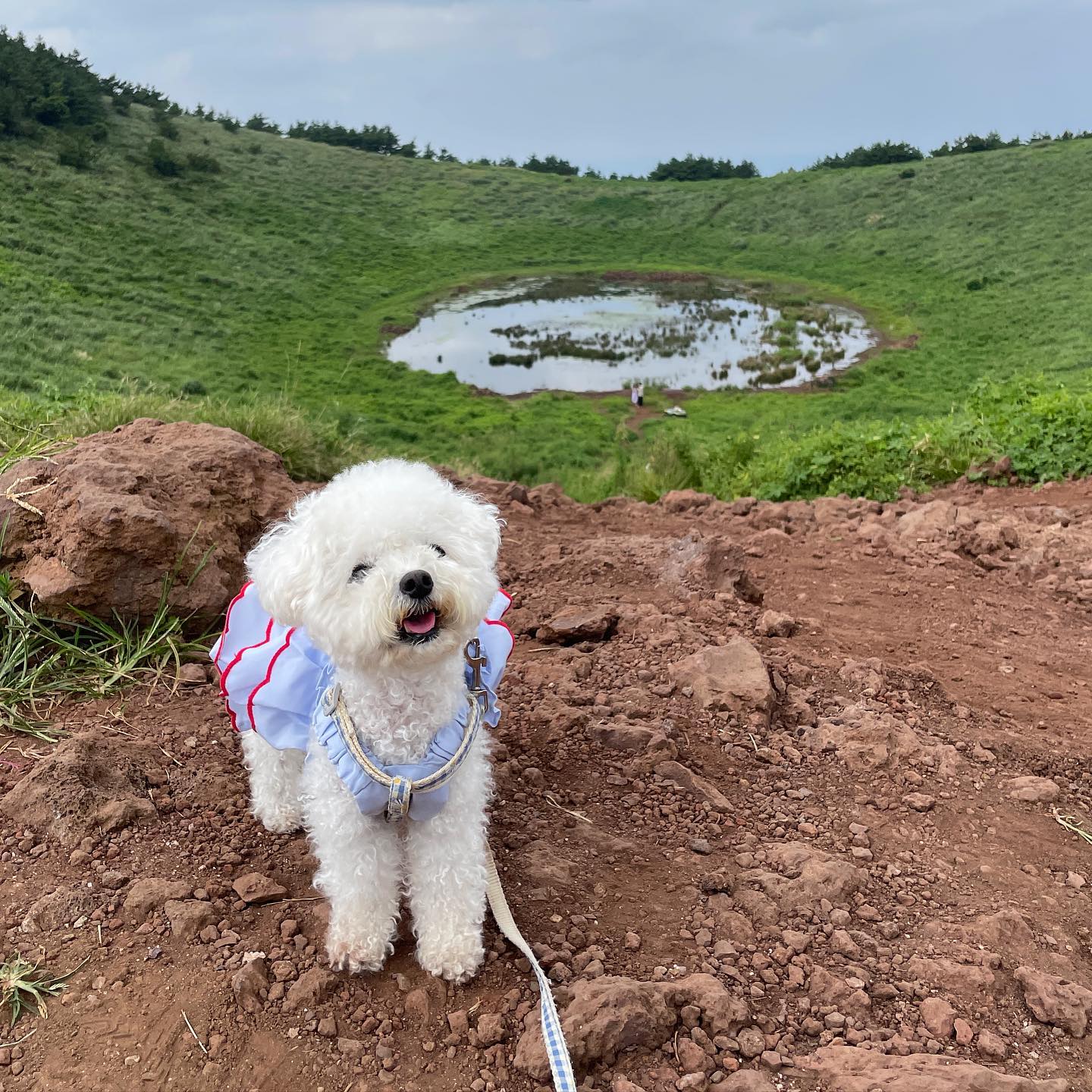 옴마 #가을여행 이라고 해짜나요
9월인데 왤케 더워여...?
나 저 물 쪼까 마셔야 쓰것눈디...!

#금오름 만만치 않은 상대였다...!