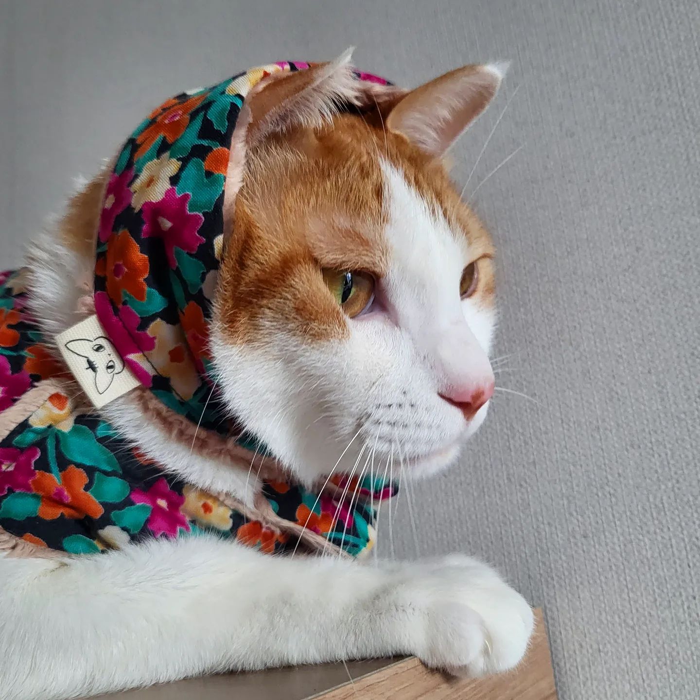 똑..사세요..똑...🍡
⠀
사실 남동이가 다 먹었져요 헤헹(〃´𓎟`〃)