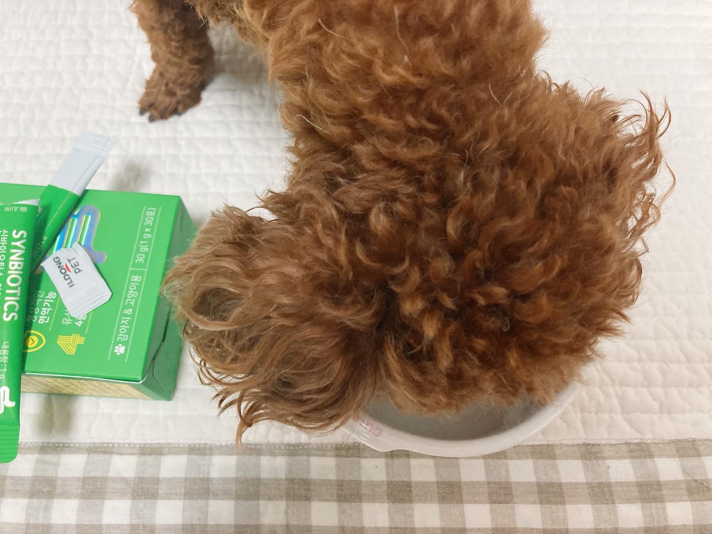 #협찬#일동펫신바이오틱스
건강관리 필수템들
사람만 면역 챙길게 아니라 강아지도 챙기는 시대라길래
가루 날림 최소화한 일동펫의 강아지 전용 신바이오틱스 먹여봄!

장건강이랑 면역 그리고 피부질환 예방까지 한 방에 도움 준다니까 든든 그 잡채

휴먼그레이드는 기본
맛은 말해 뭐해

3kg 강아지에게 하루 반 포로 건강 챙겨주기😍🥲

#강아지면역유산균 #강아지영양제 #강아지신바이오틱스 #펫유산균 #휴먼그레이드 #강아지변비 #강아지유산균 #강아지유산균추천