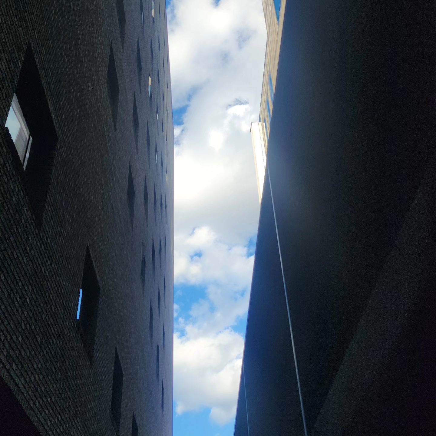 내가 젤 좋아하는 구름 ☁️💗