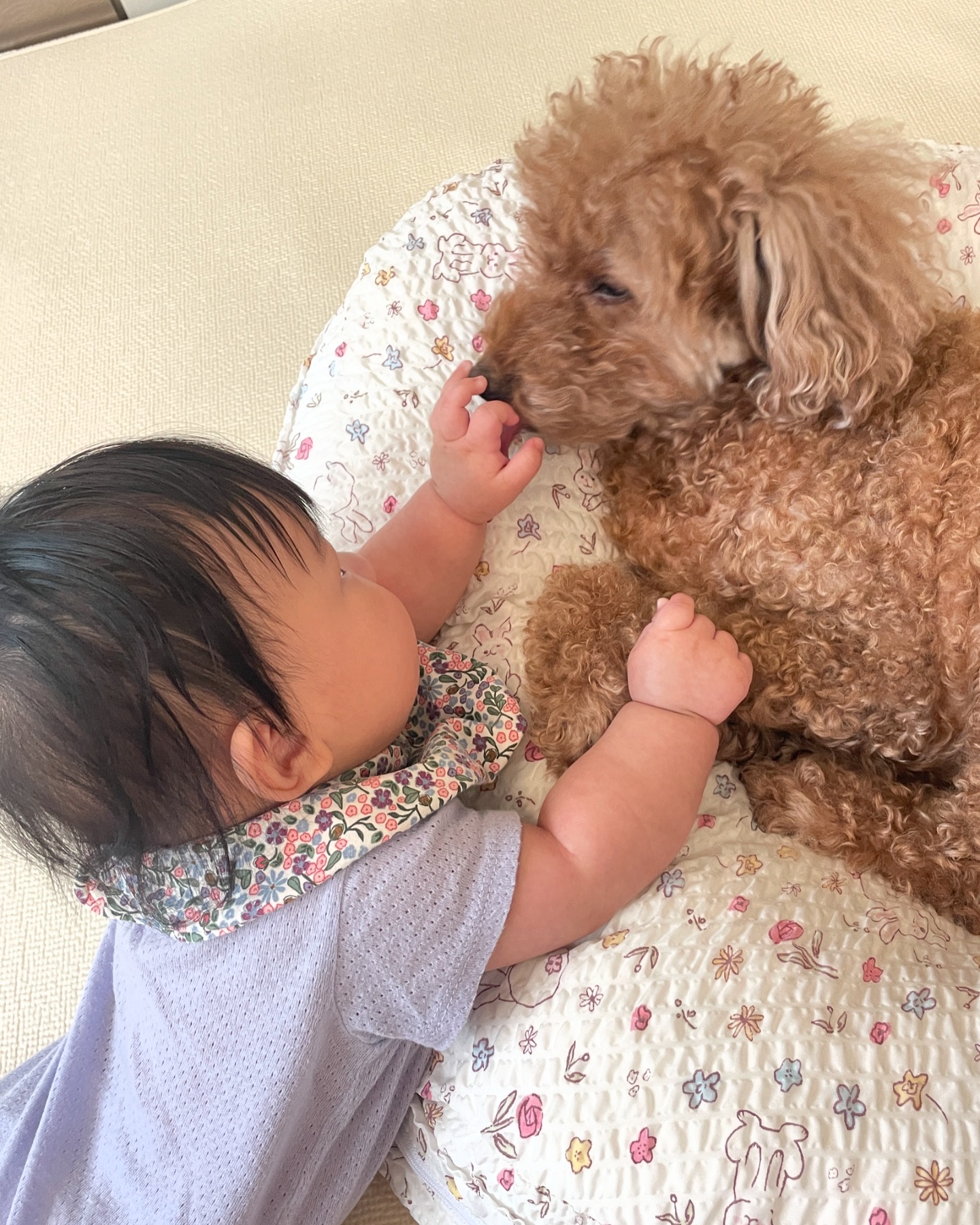 육아란…👶🏻
#개힘듬🐶 
#개지침🐶