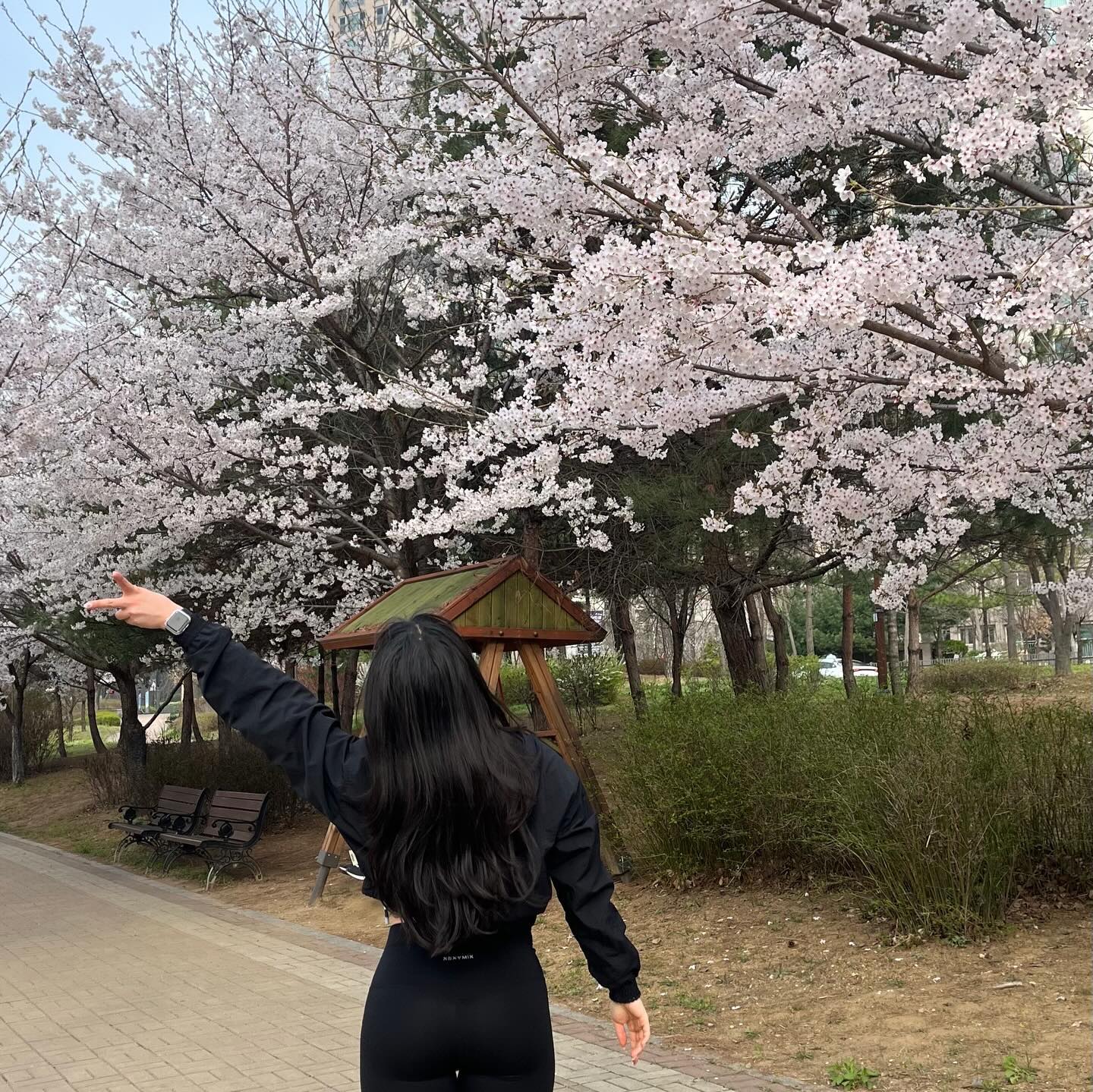 이번주 벚꽃런 넘넘 조아💗🎀🩰🥹🌸💘🏃🏻‍♀️