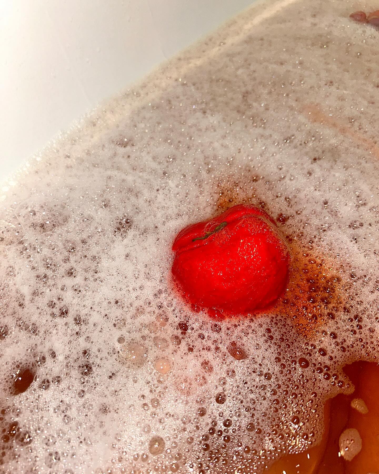 뜨끈한 물에 또 지지고 싶다🛁
깽얼 우찔껀디 🙄