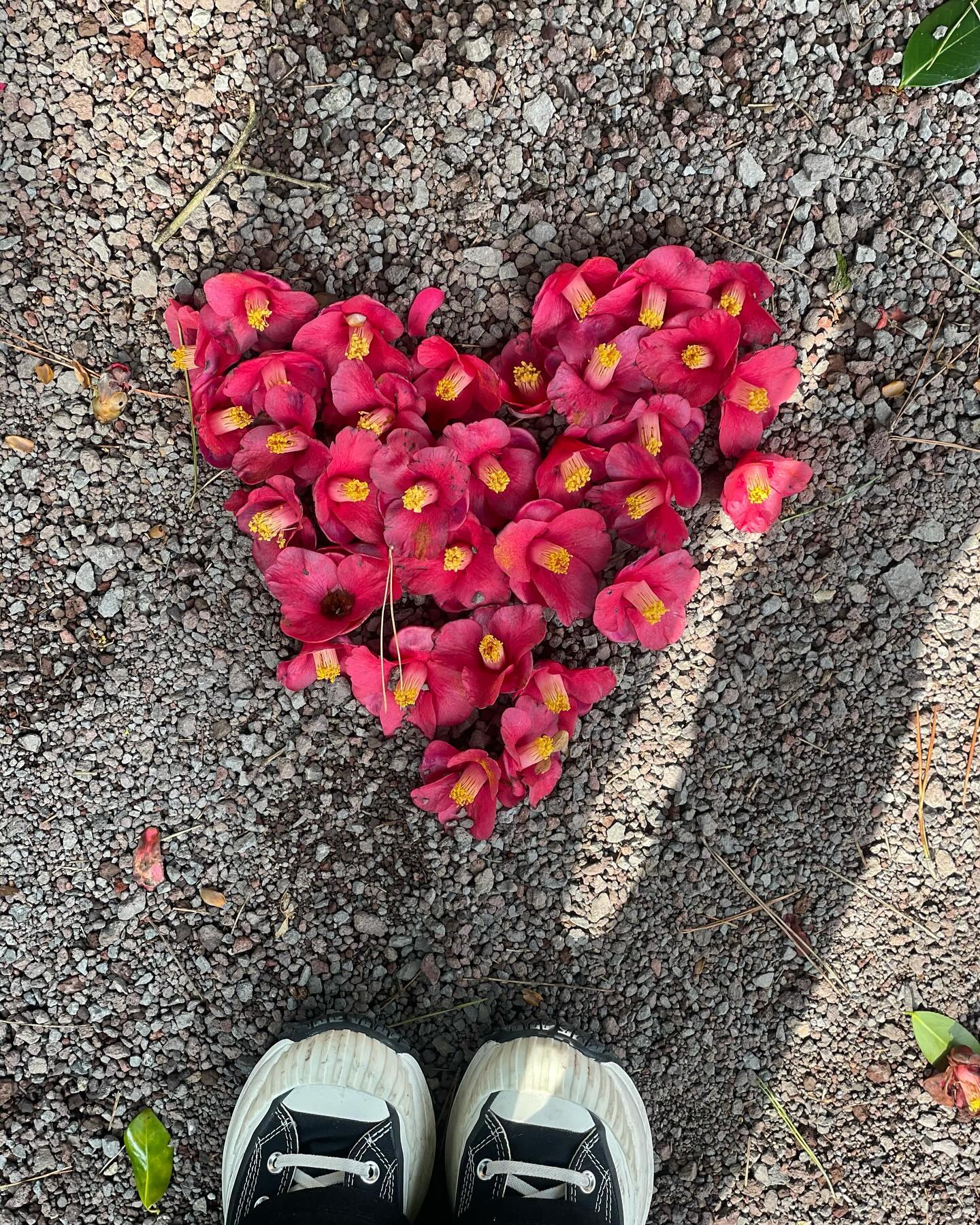 🌺🫶🏻🌺