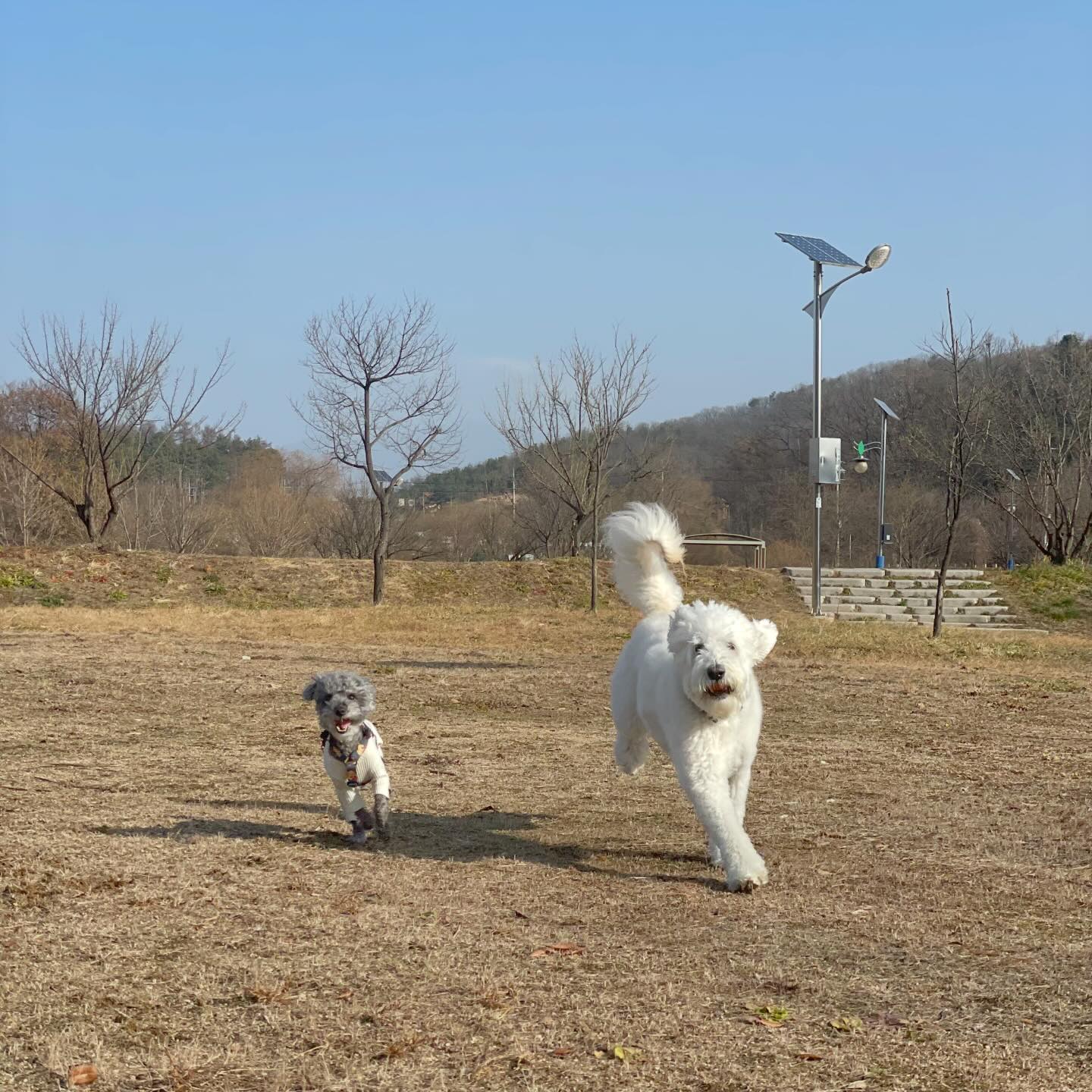 -
오늘 15도 맞네 … 너무 더워 🥵