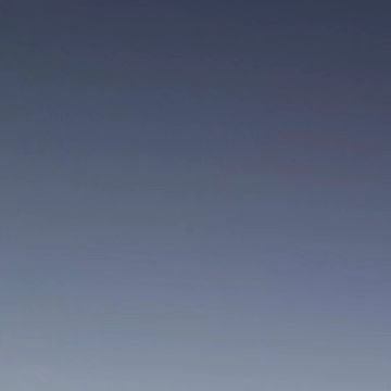 콘텐츠