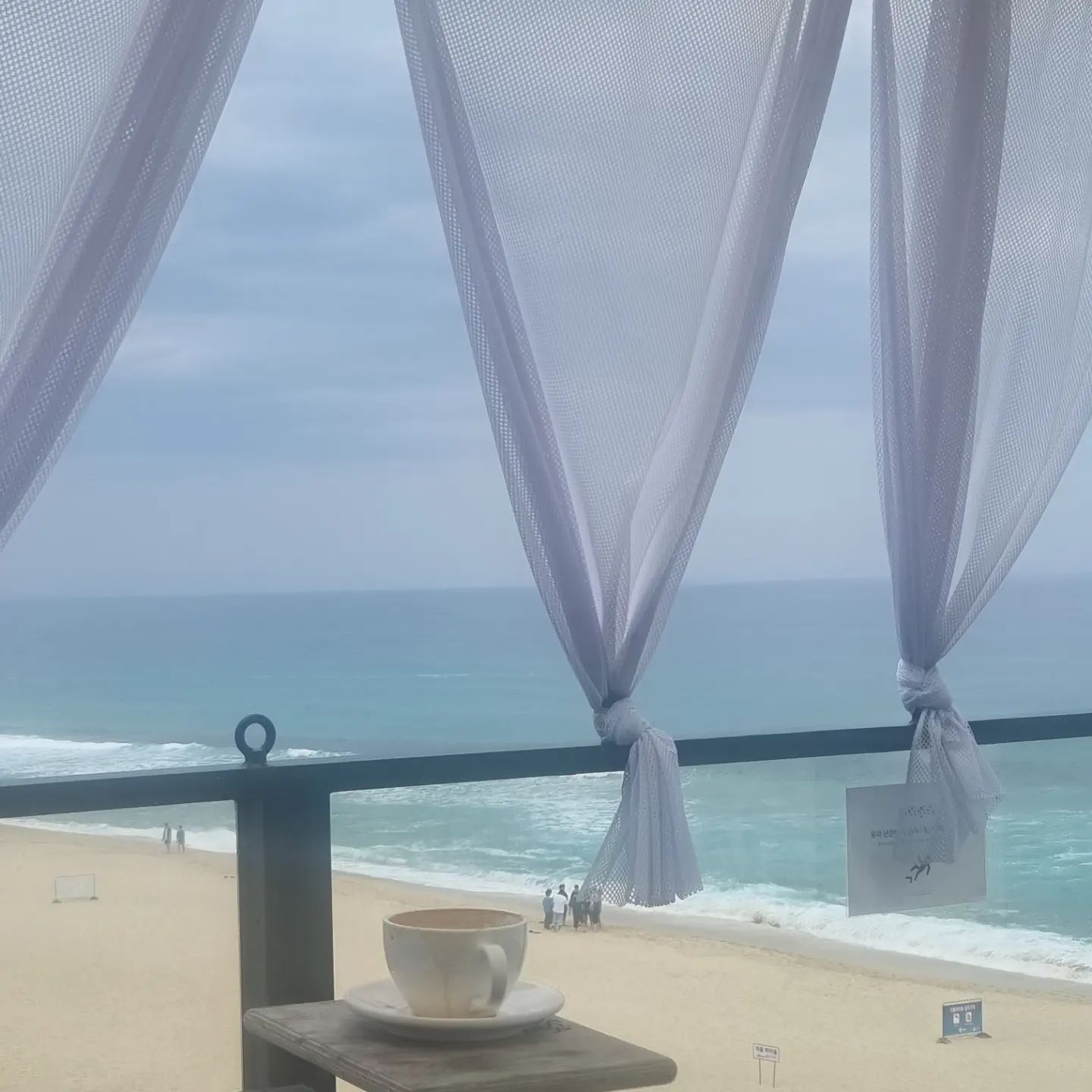 #바닷가카페 
#좋아하는장소

강릉 안목해변 🏖
#보사노바카페