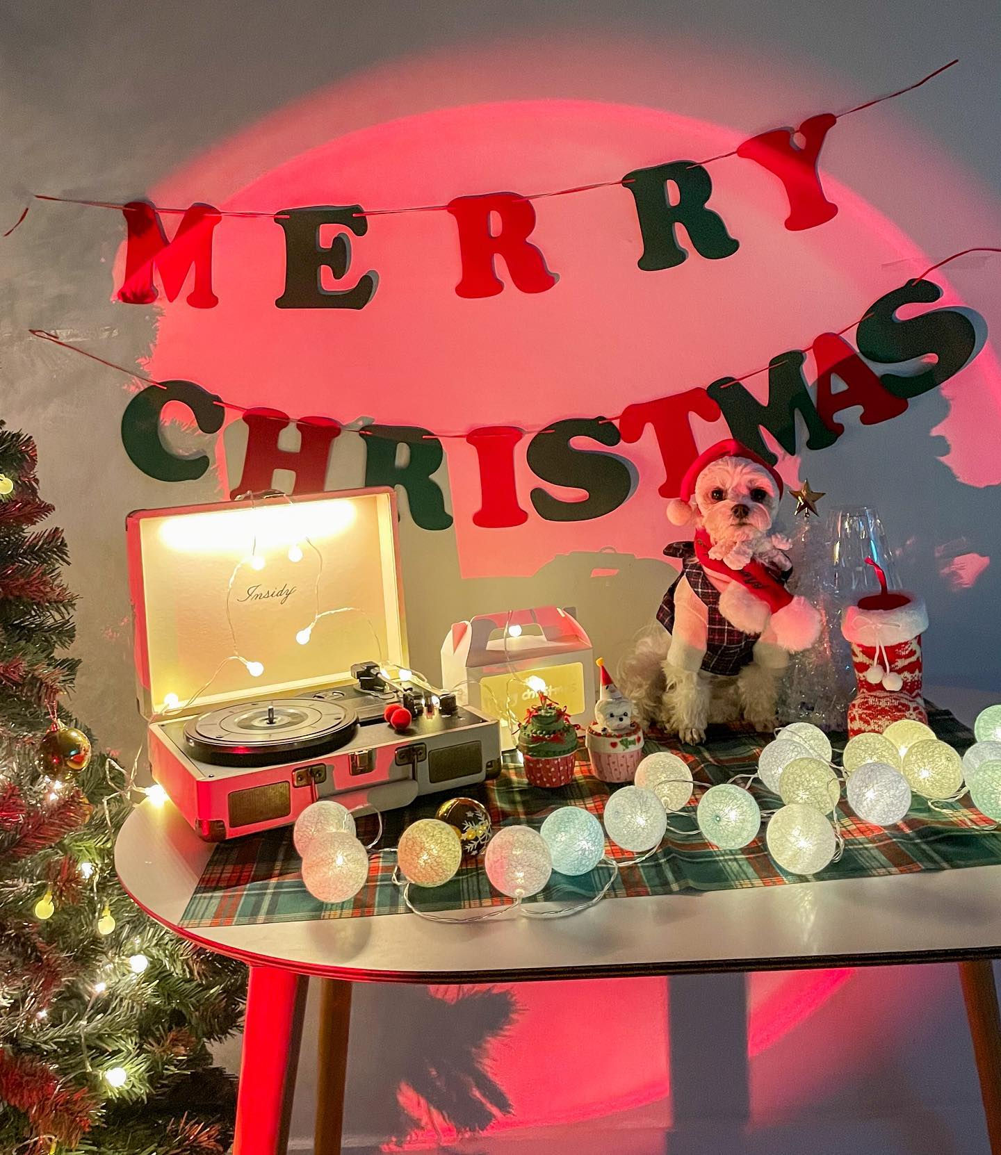 찌별 미리멜클🎄
산타할뷰지 올해는 오실꺼지요?🎅🏻 찌별 눈물자국 없애고 이씁니다요. 올해마저 안오면 내년엔 찾아감미다🤚🏻