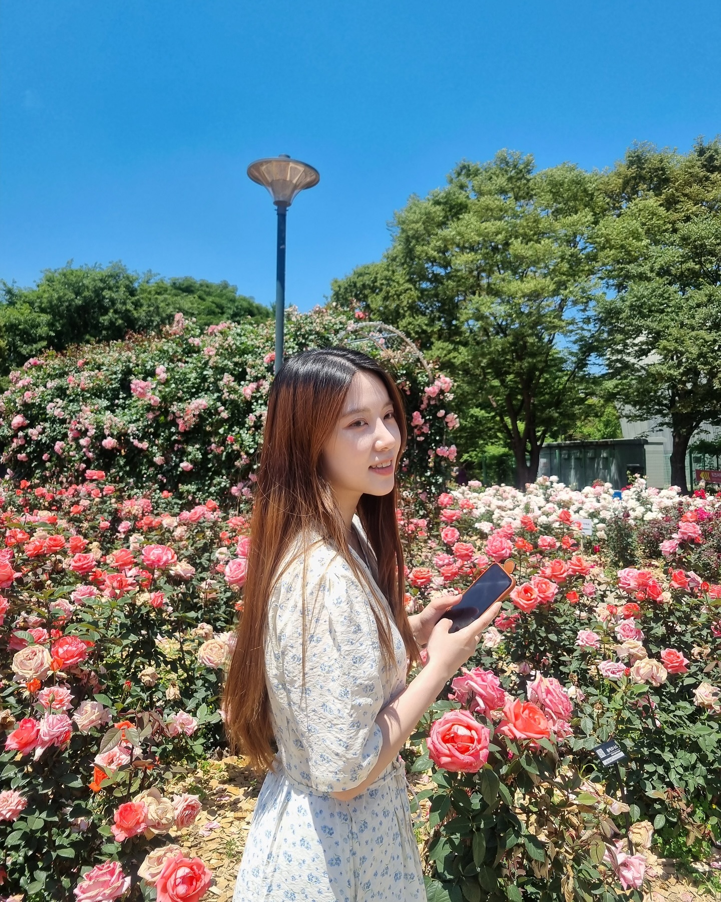 갤럭시 화질 합격입니다✔️
 

#장미공원 #갤럭시