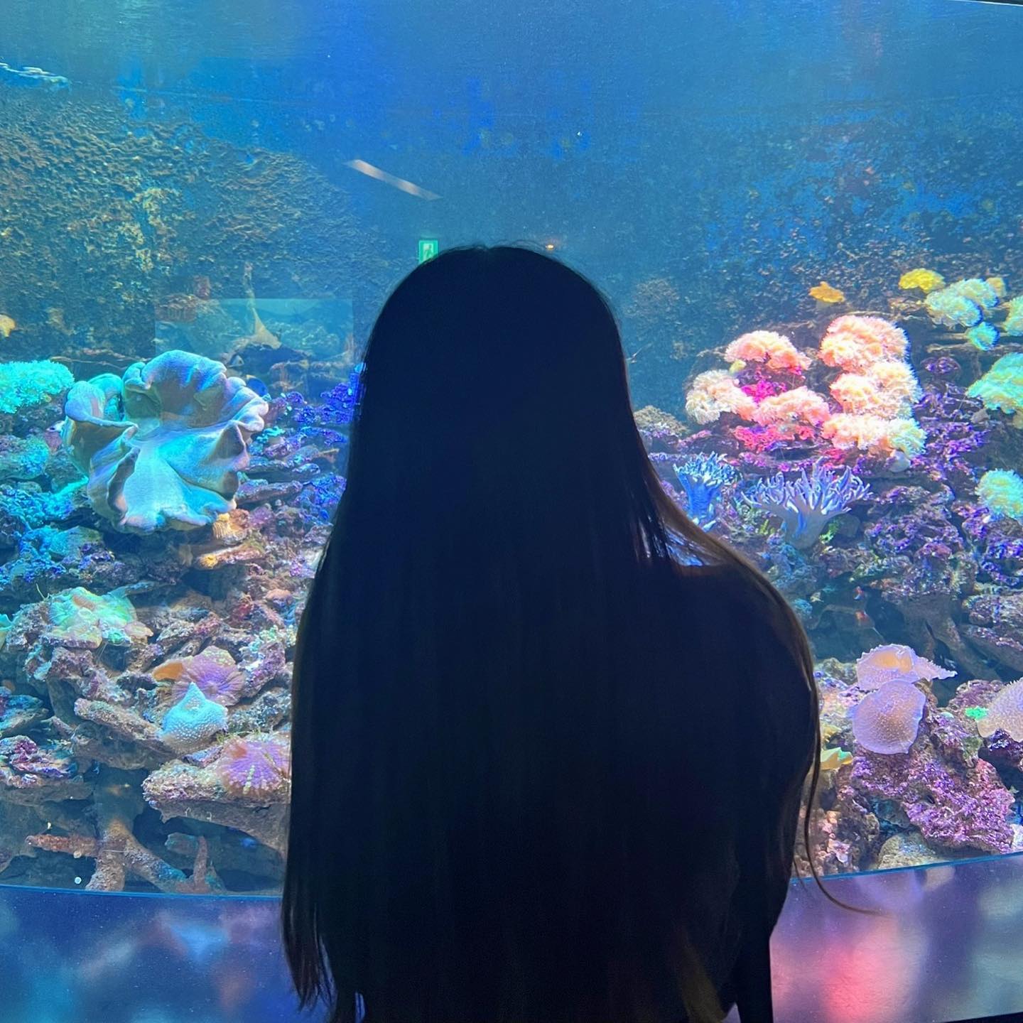 아쿠아리움은 사진찍는 곳이다(?)🐠
점심 먹고 우연히 쇼까지 보고 타이밍이 좋았던 하루