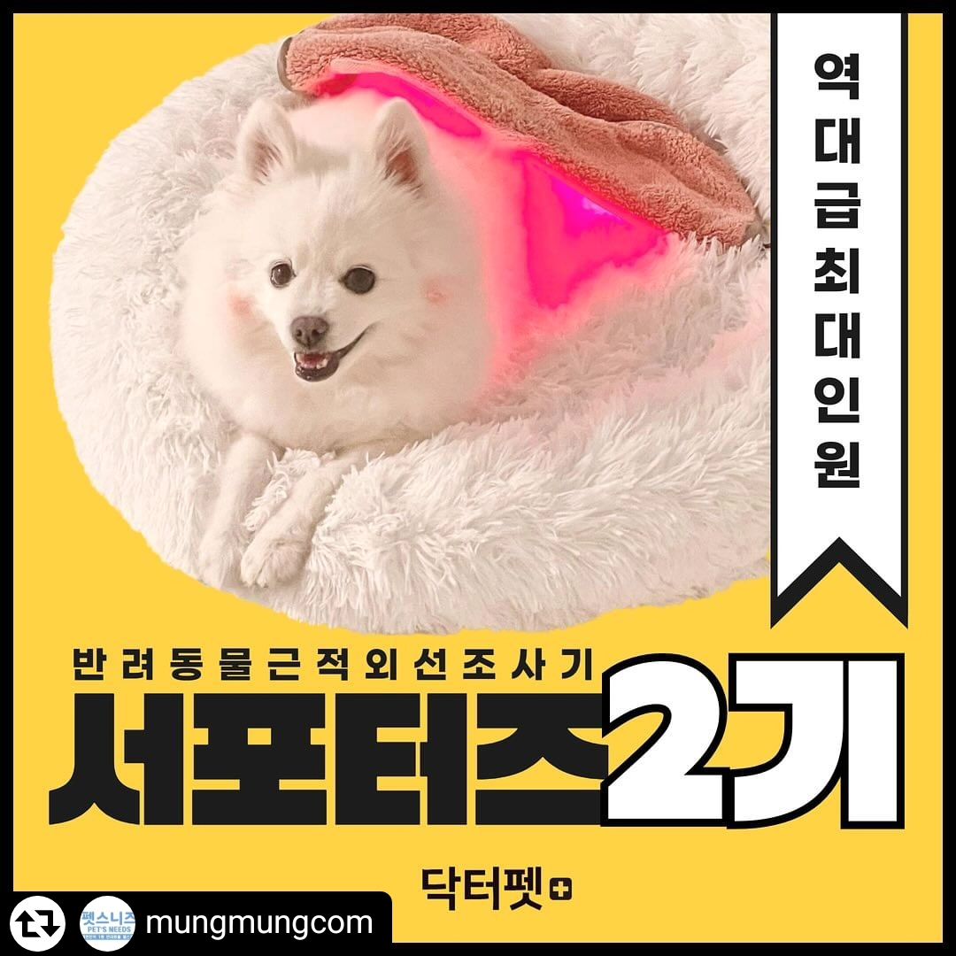 #리그램 - mungmungcom by get_regrammer
⠀
✅닥터펫 서포터즈 2기모집안내✅
⠀
안녕하세요 펫스니즈입니다.
닥터펫 서포터즈 2기는 단기간 이벤트에만 참여하시는 분들이 아닌
꾸준히 펫스니즈 닥터펫 동물용의료기기 제품 제공 협찬을 포함해 열심히 활동해주실 서포터즈 2기 모집을 합니다.
(1기분들은 기간이 남아있으니 지원하지 않으셔도 됩니다!!)
⠀
⠀
닥터펫 서포터즈 1기분께서 친구소환 해주신 2기 서포터즈 신청자분들께는 최대한 반영하여 2기 우선 선정의 혜택을 드릴것이며,
이는 닥터펫 서포터즈 1기분들께서 너무나 활동을 열심히 해주셔서 감사의 마음입니다:)
✅닥터펫 1기 선정후 미활동하신 1기 서포터즈분의 추천으로 신청하신경우 해당되지 않습니다
✅신청폼참고
⠀
⠀
⭕제품만 받아 활동하지 않으실 분들은 참여하지 말아주세요 !
또한 미활동 시 제품가액 배상의 책임이 있습니다
⭕체험용임을 분명히 확인 후 지원부탁드립니다. - 프로필하단 링크 확인
(추후 취소 시 배송비 부담 본인에게 있습니다)
⭕꼭 필요한 반려동물을 위해 서포터즈 활동해주실 분들만 지원 부탁드립니다.
⠀
⠀
지금처럼 아픈 강아지와 고양이들을 위해 최대한 많은 서포터즈분들을 모집할 계획이니 많은 참여 부탁드립니다!!!
⠀
[서포터즈 2기 지원 기간]
2024년 3월 27일~ 2024년 4월4일
*기간 내 신청이 완료되지 않을 시 자동 취소 됨을 알려 드립니다.
⠀
[지원 신청 전 필히 읽어주세요]
서포터즈 2기 기간은 3개월입니다.
리뷰는 매월 2~3회 필수입니다. (불가능하신 분들은 지원불가)
1. 체험용 펫큐어레이 커버큐 제품제공 (광치료기+일체형케이블+커버담요 구성)
2. 기간 내 수행할 가이드는 서포터즈와 펫스니즈 상호간의 약속을 이행해주실 분
3. 일회성 리뷰가 아닌 꾸준히 반려동물의 건강상태도 함께 업로드해주실 분
4. 기간과 서포터즈가 제대로 이행되지 않을 시 제품가액 배상 동의서 작성
5. 최종 가이드는 지원 폼 개별 메일로 송부
6. 매월 2~3회 카페내 간단한 리뷰 관련 불가능하신 분들은 지원 불가
⠀
[서포터즈 2기 지원 안내]
1. mungmungcom 팔로우
2. 게시글 스토리 공유+친구소환 필수(많은 친구분에게 소개해주시면 선정확률 올라갑니다!!)
3. 펫스니즈 프로필 하단 [닥터펫 카페] 내 신청글을 작성해주세요
  글쓰기 누르시면 신청 양식이 나와요!
4. [닥터펫 카페 서포터즈 신청 코너]게시물 등록 후 네이버폼 작성
⠀
⠀
⭕인스타그램 내 신청글을 해당되지 않습니다. 꼭 [닥터펫 카페] 내에 작성해주세요
이는 인스타 취합은 매번 누락이 되는 건들이 있어 내린 결정이며
가이드가 있지만 1기분들처럼 편하게 리뷰해주시면 됩니다.
그만큼 더 많은 선물 진짜 보장합니다아!!
⠀
⠀
⭕서포터즈 기간동안 이행을 우수하게 해주신 분들께 1기부터
많은 이벤트를 가장 우선 순위로 선물하고 있습니다.
함께 하실 서포터즈2기분들 많은 지원 부탁드려요 고맙습니다:_)
⠀