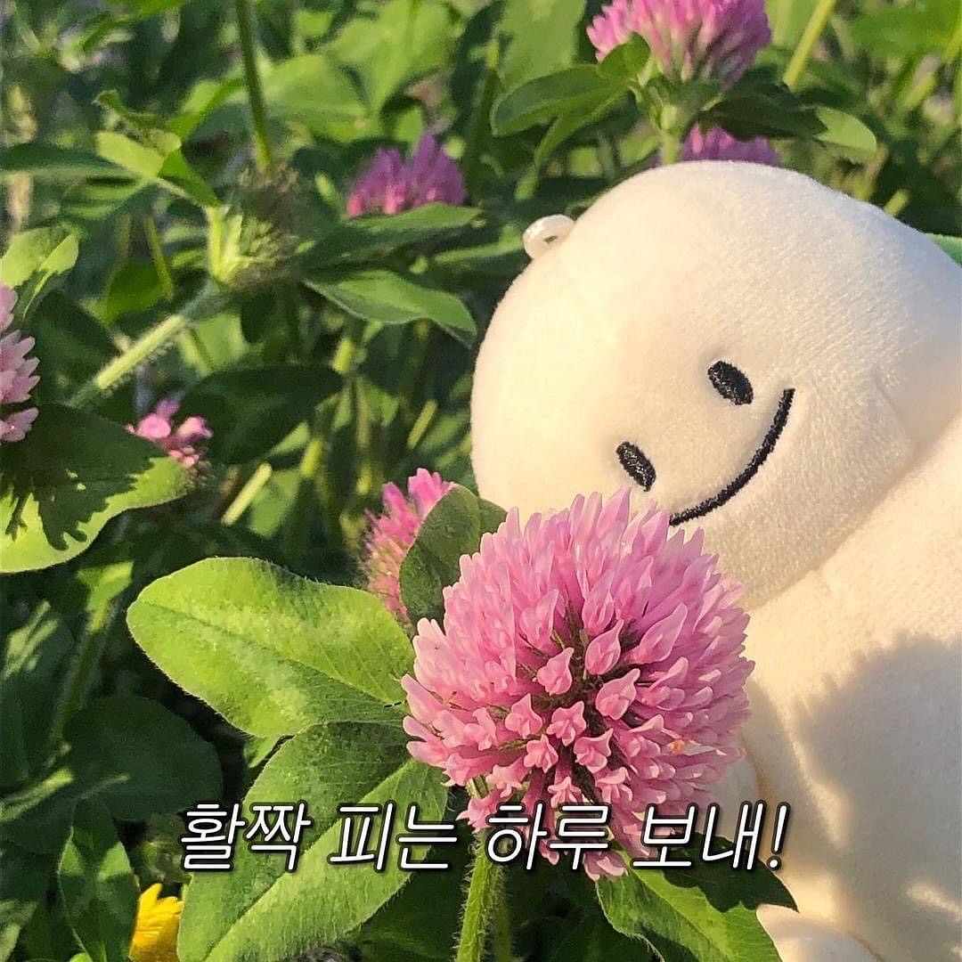 일상 모음집 🍀