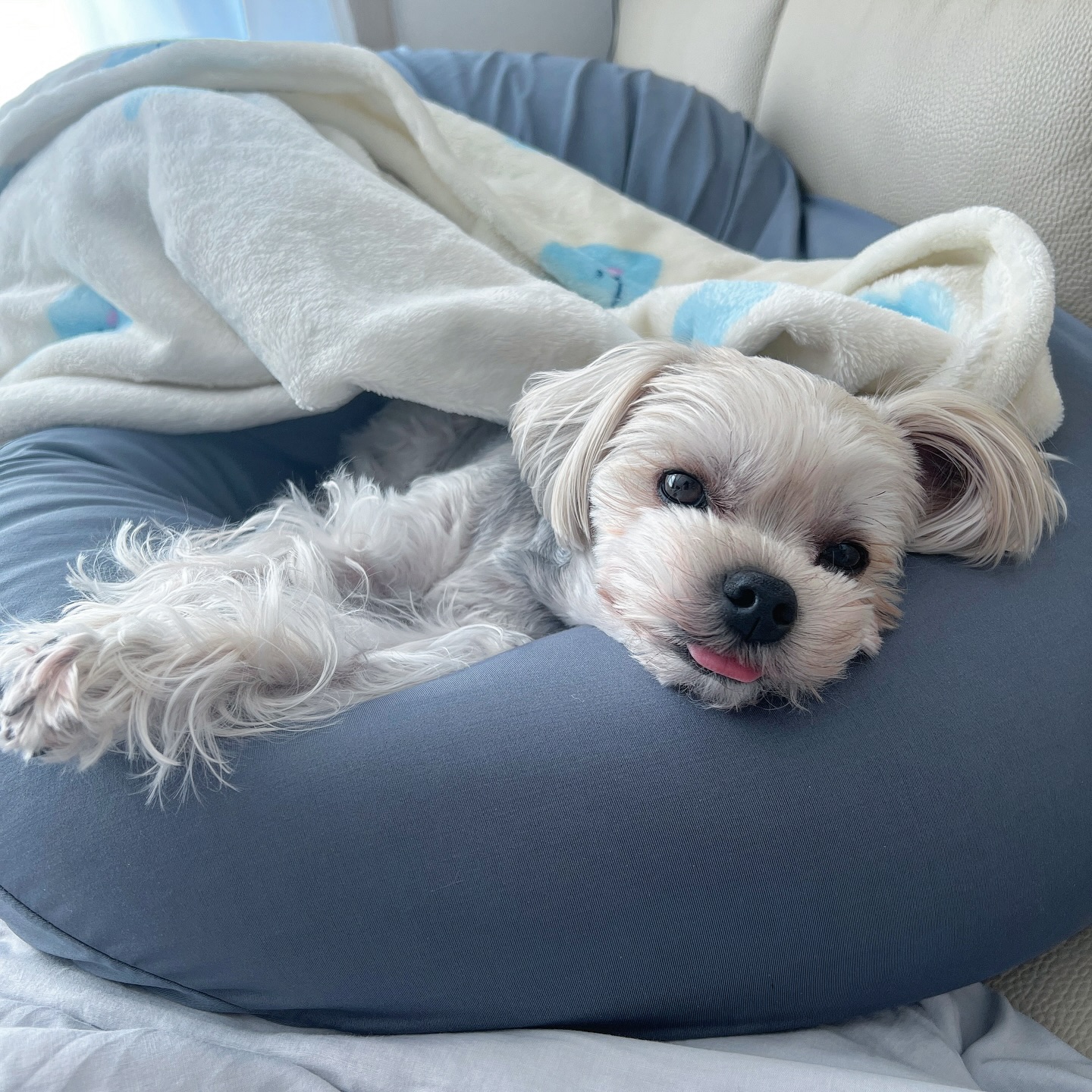 😛