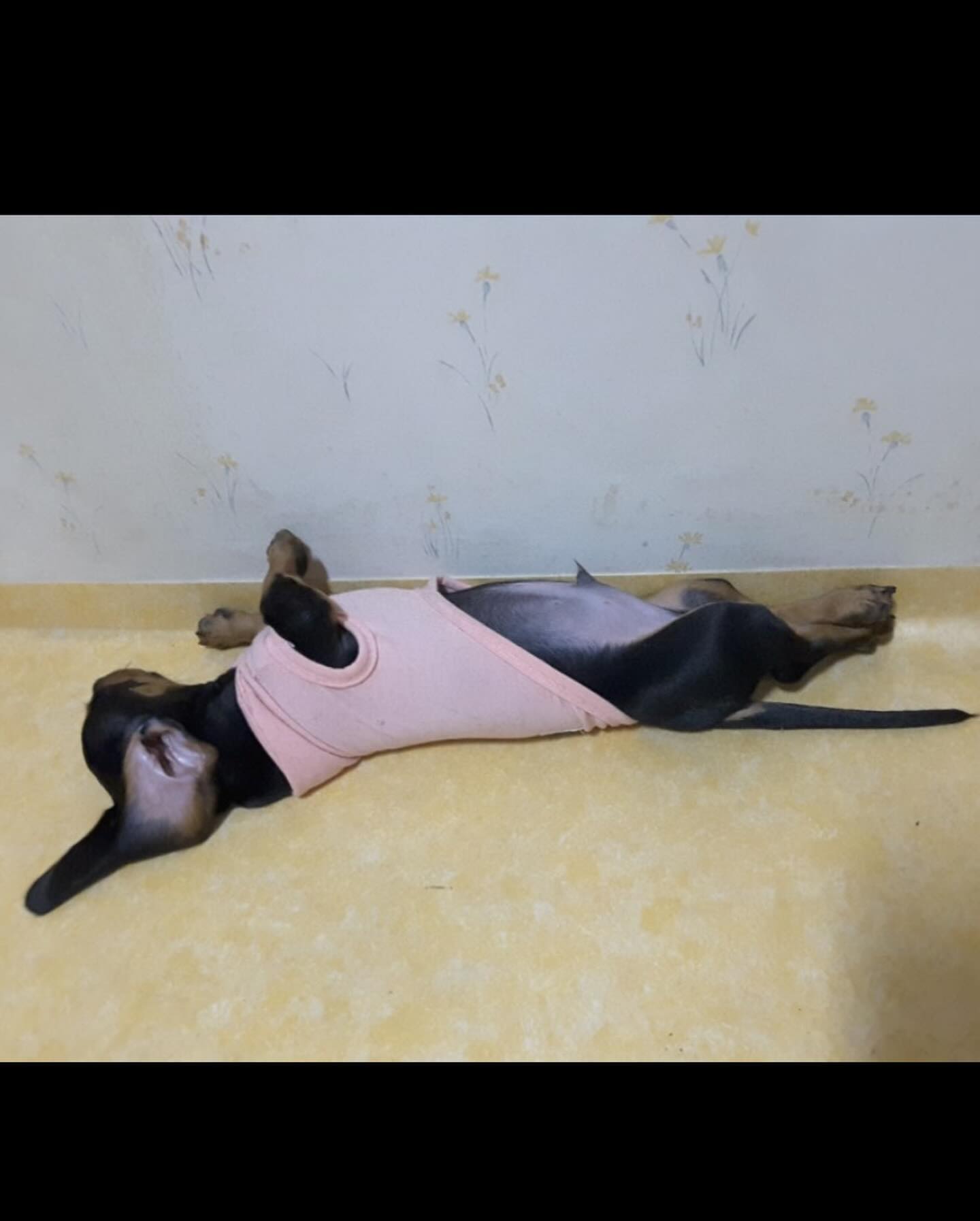 어느새 
훌쩍 자라버린 조자몽
