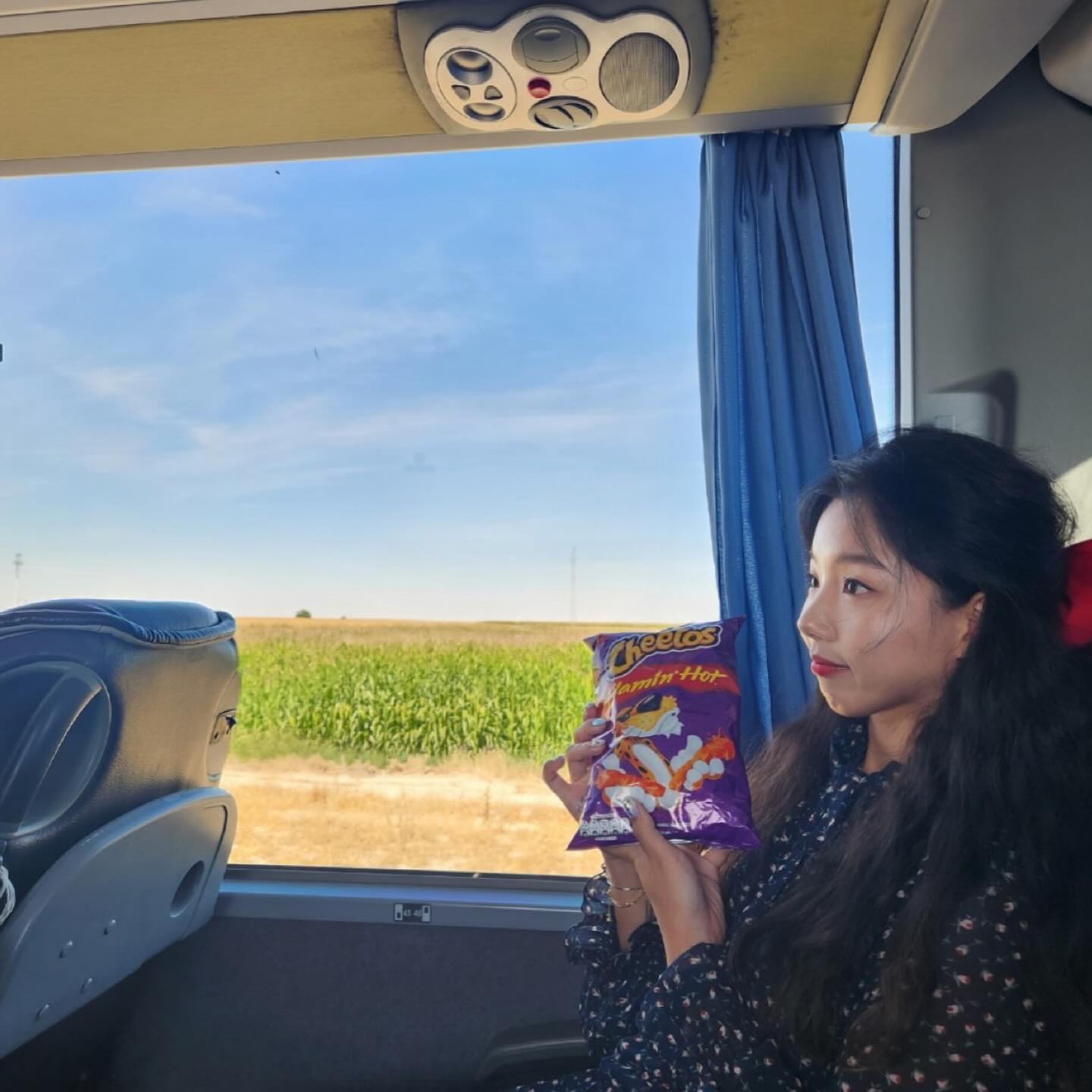 버스타고 터키일주했더니 쫌쫌따리 생긴 버스 모음집으로 터키 사진 마무리🚌🇹🇷