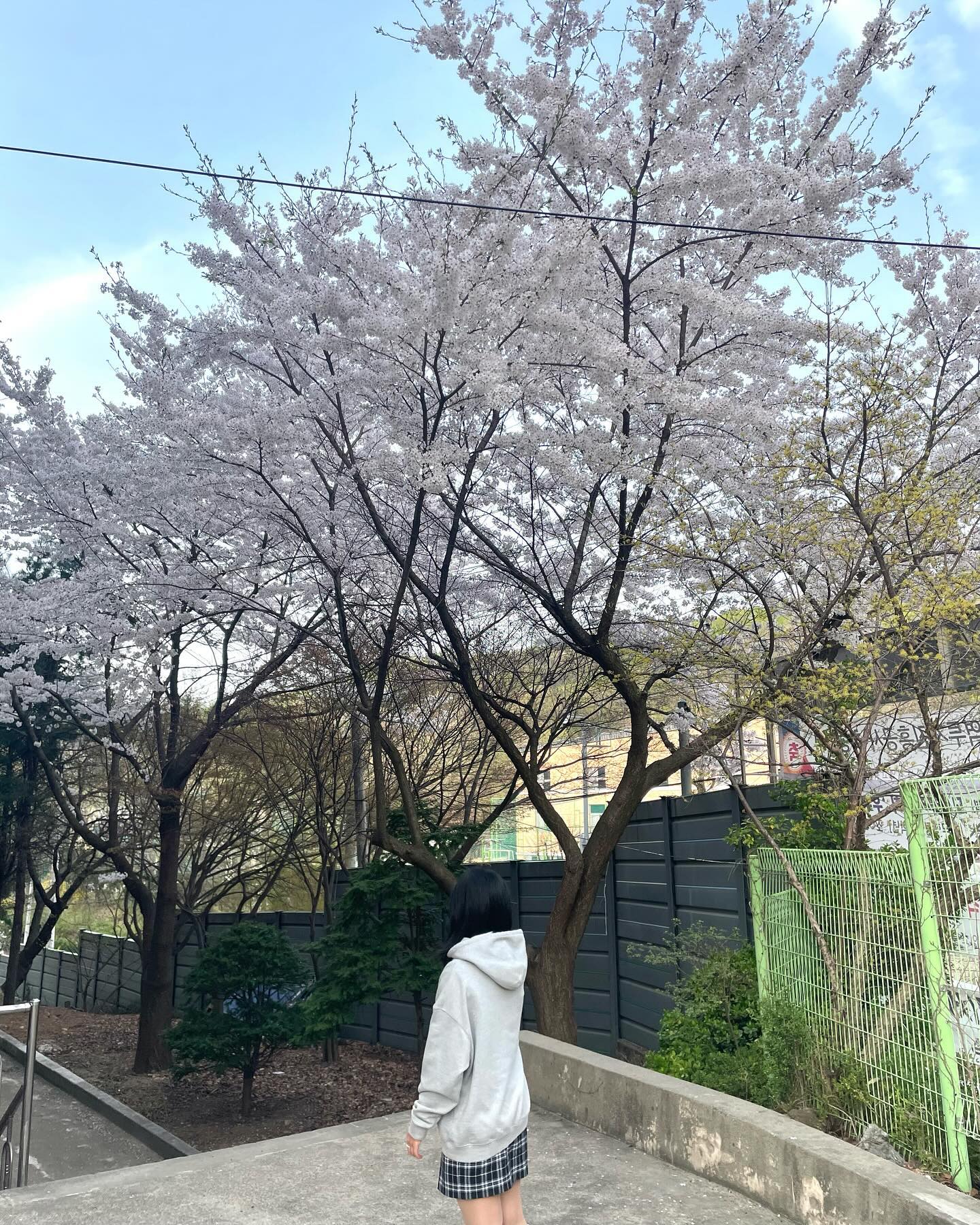 콘텐츠