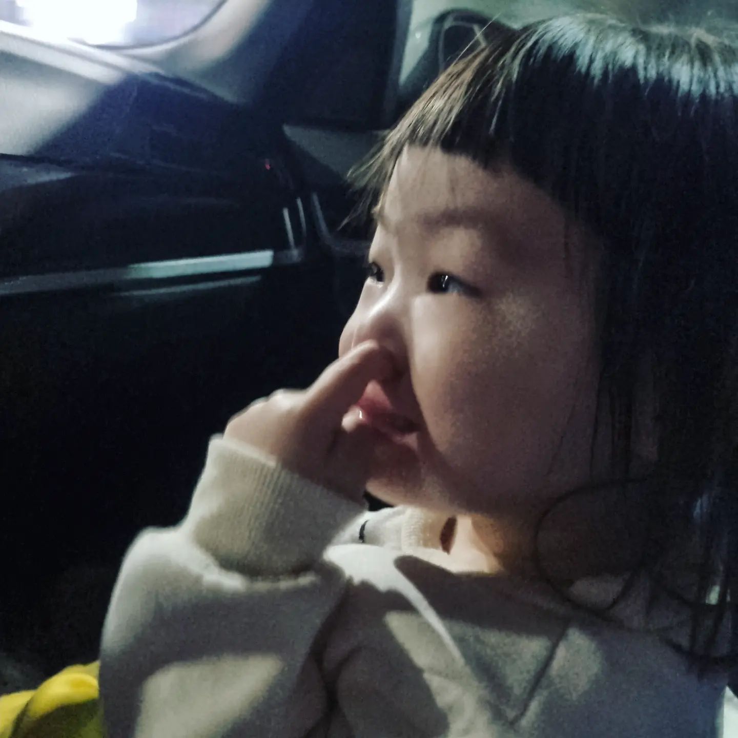 #첫줄
정말 자연스럽게 지지한 깡다솔🫠
#너무자연스러워 #건강한비결 #다들코딱지드세요 #강다솔이웃겨드림
.
.
#깡자매 #생후2042일 #생후713일 #어제보다오늘더사랑해 #대칠씨💕
